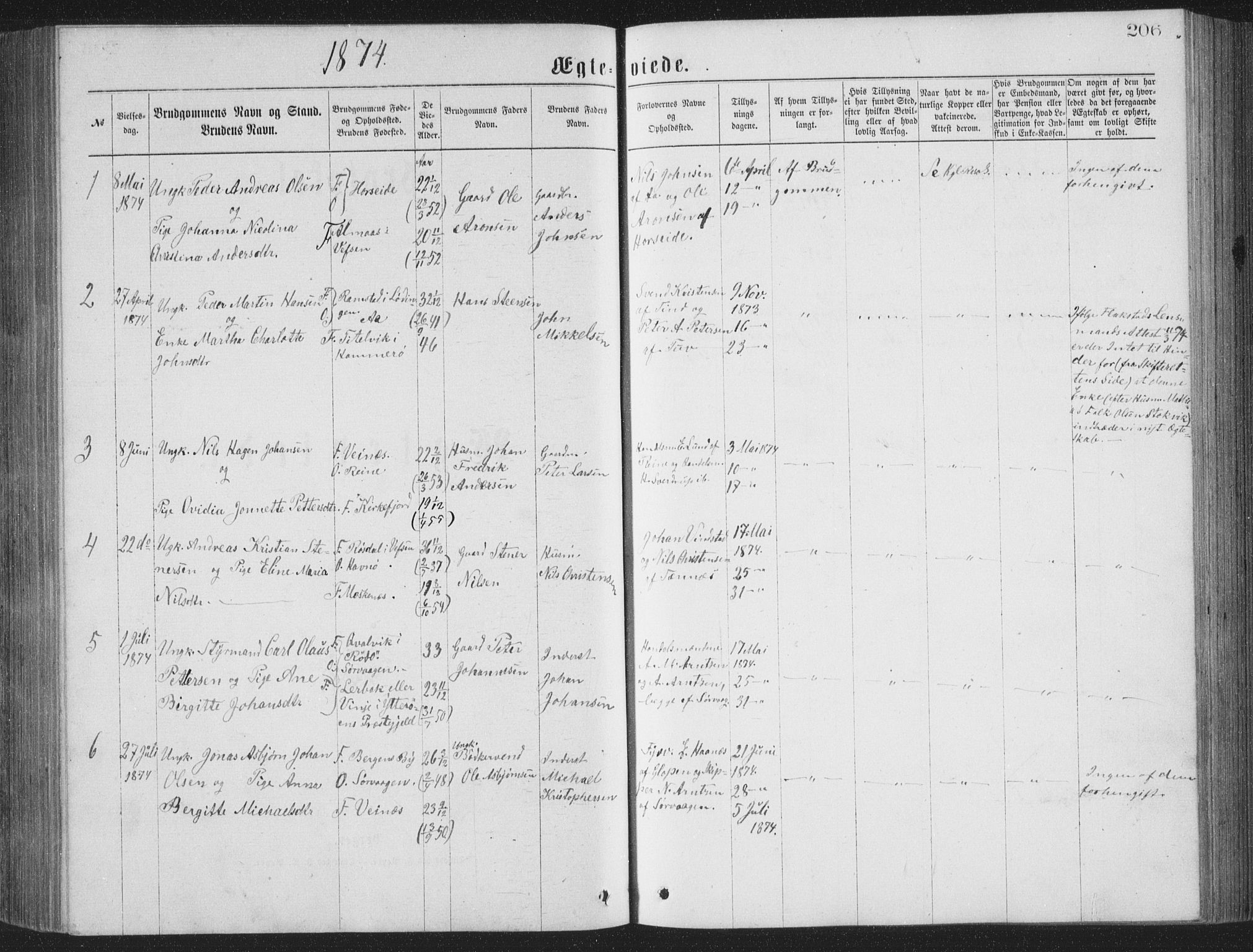 Ministerialprotokoller, klokkerbøker og fødselsregistre - Nordland, AV/SAT-A-1459/886/L1225: Parish register (copy) no. 886C02, 1874-1896, p. 206