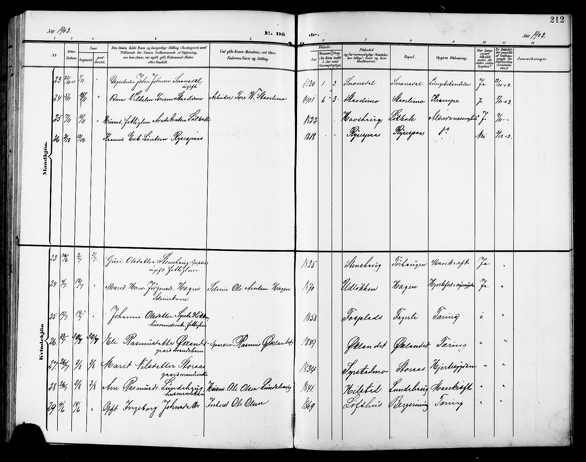 Ministerialprotokoller, klokkerbøker og fødselsregistre - Sør-Trøndelag, AV/SAT-A-1456/672/L0864: Parish register (copy) no. 672C03, 1902-1914, p. 212