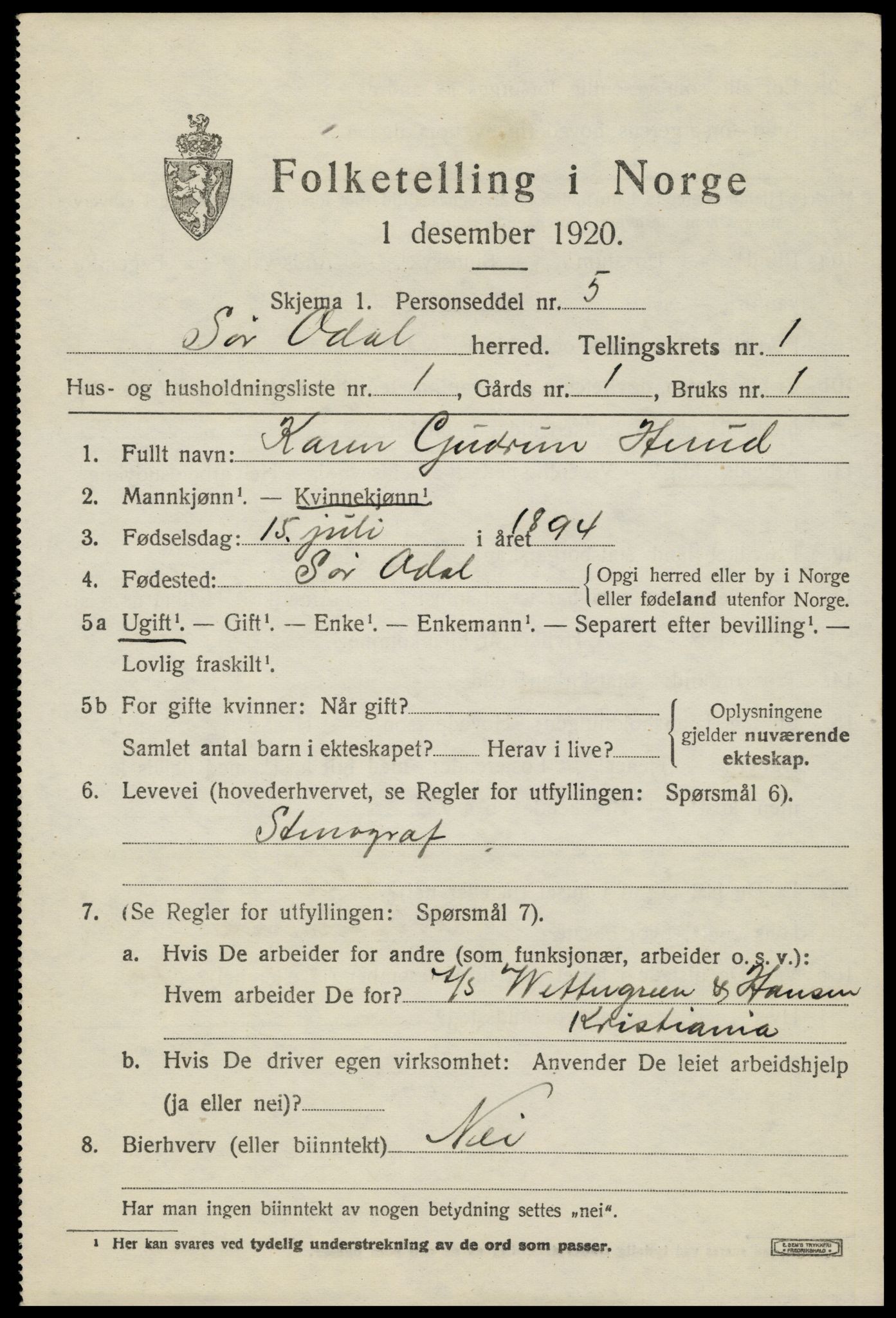 SAH, 1920 census for Sør-Odal, 1920, p. 2533