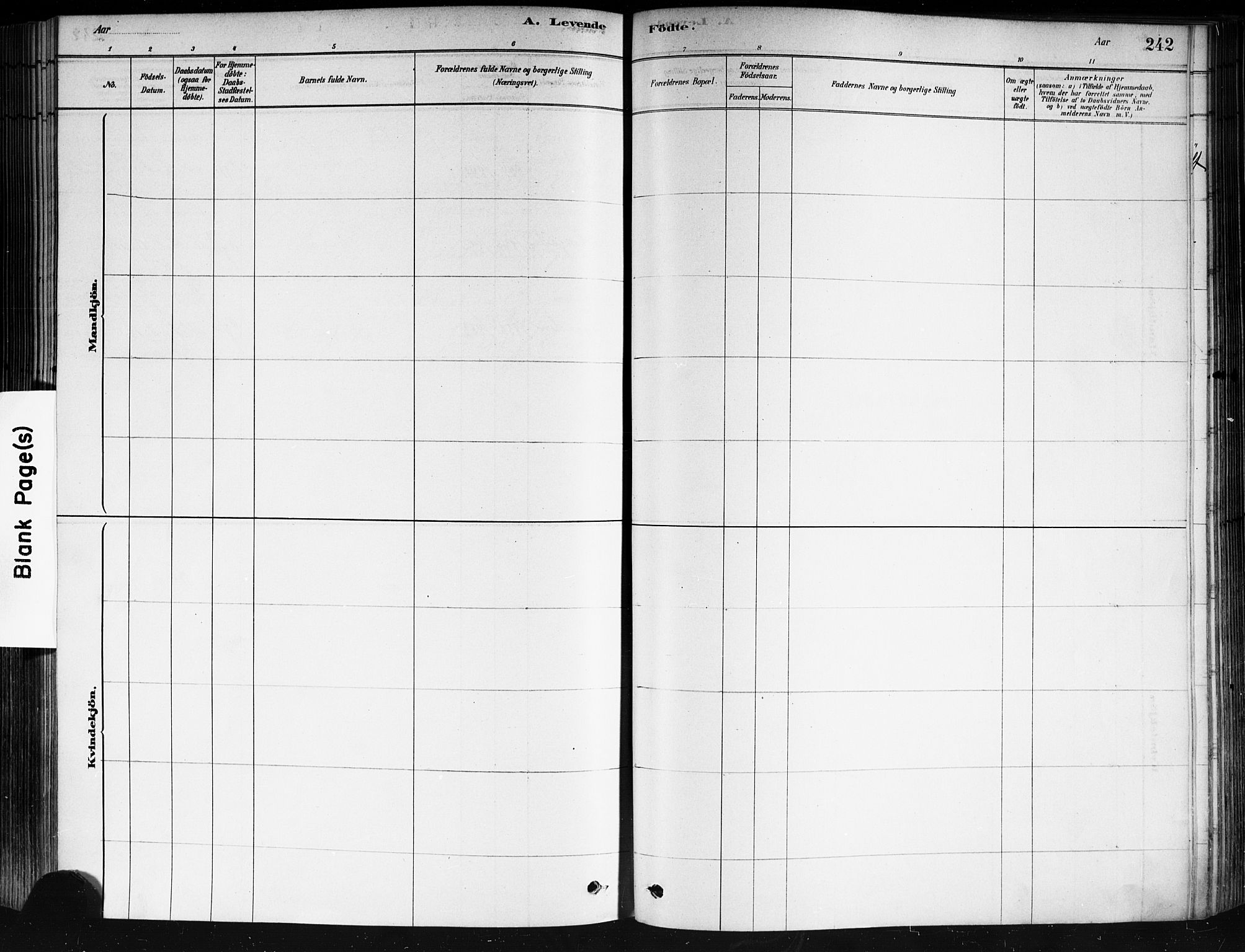 Strømsø kirkebøker, AV/SAKO-A-246/F/Fa/L0021: Parish register (official) no. I 21, 1878-1885, p. 242