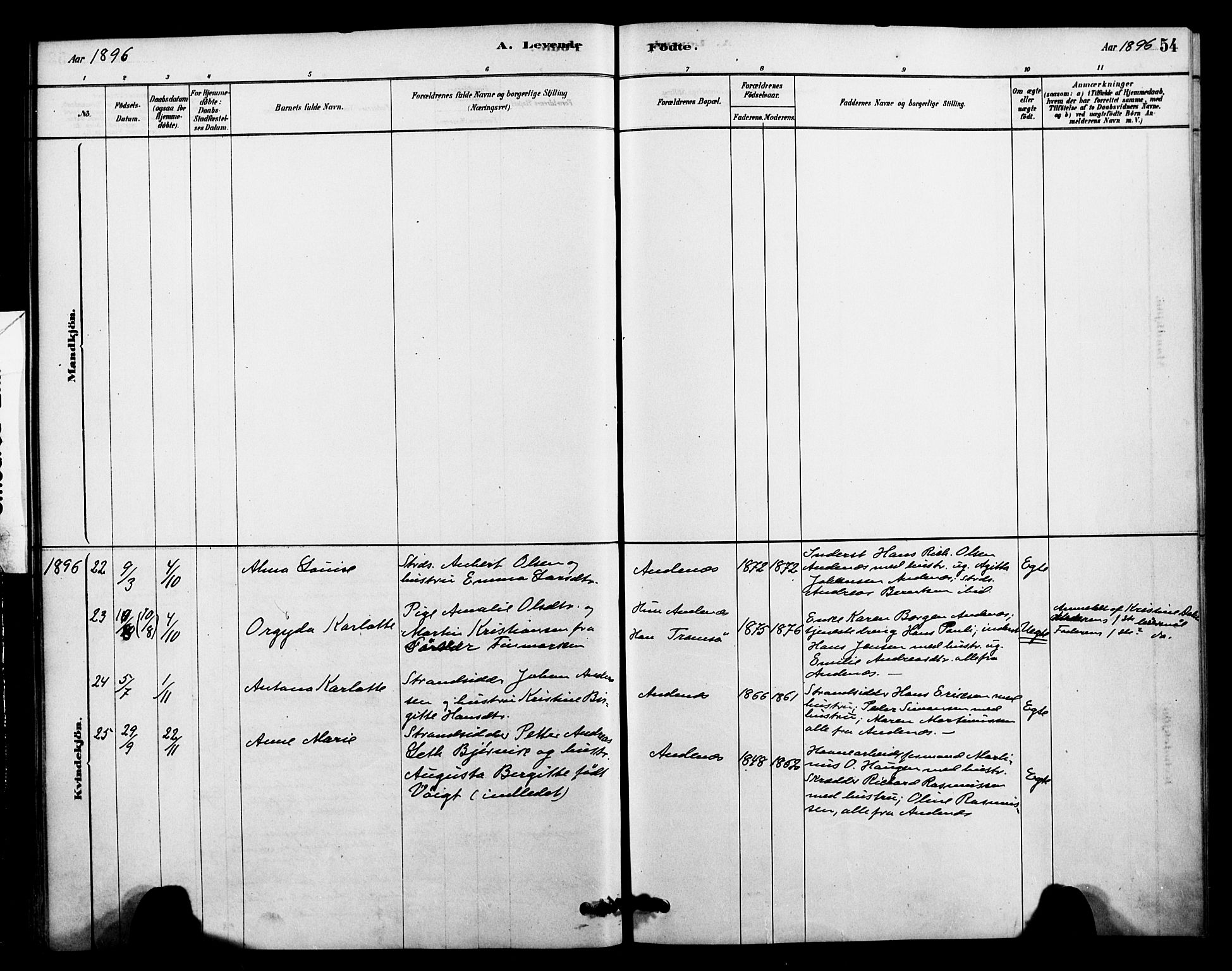 Ministerialprotokoller, klokkerbøker og fødselsregistre - Nordland, AV/SAT-A-1459/899/L1436: Parish register (official) no. 899A04, 1881-1896, p. 54