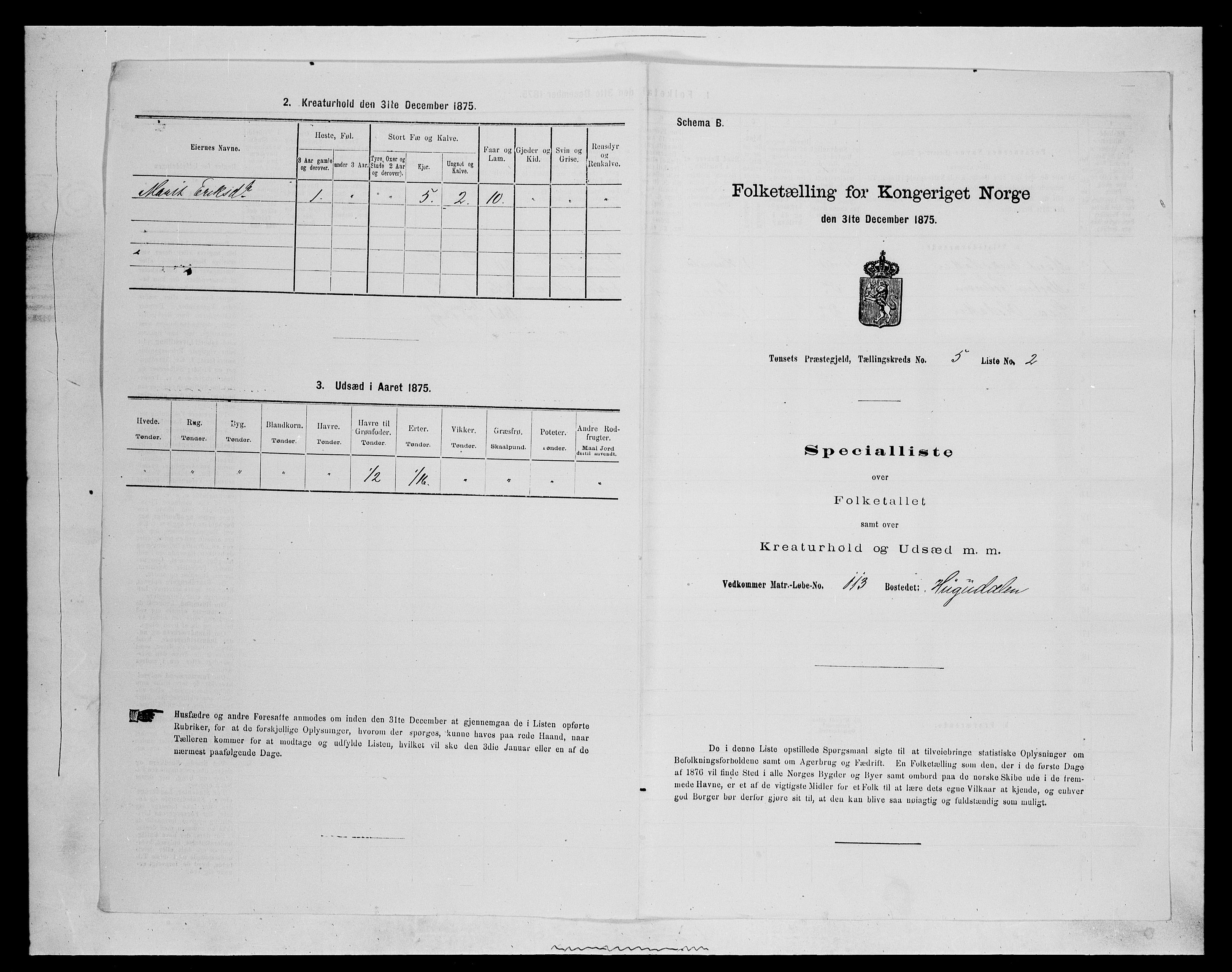 SAH, 1875 census for 0437P Tynset, 1875, p. 567