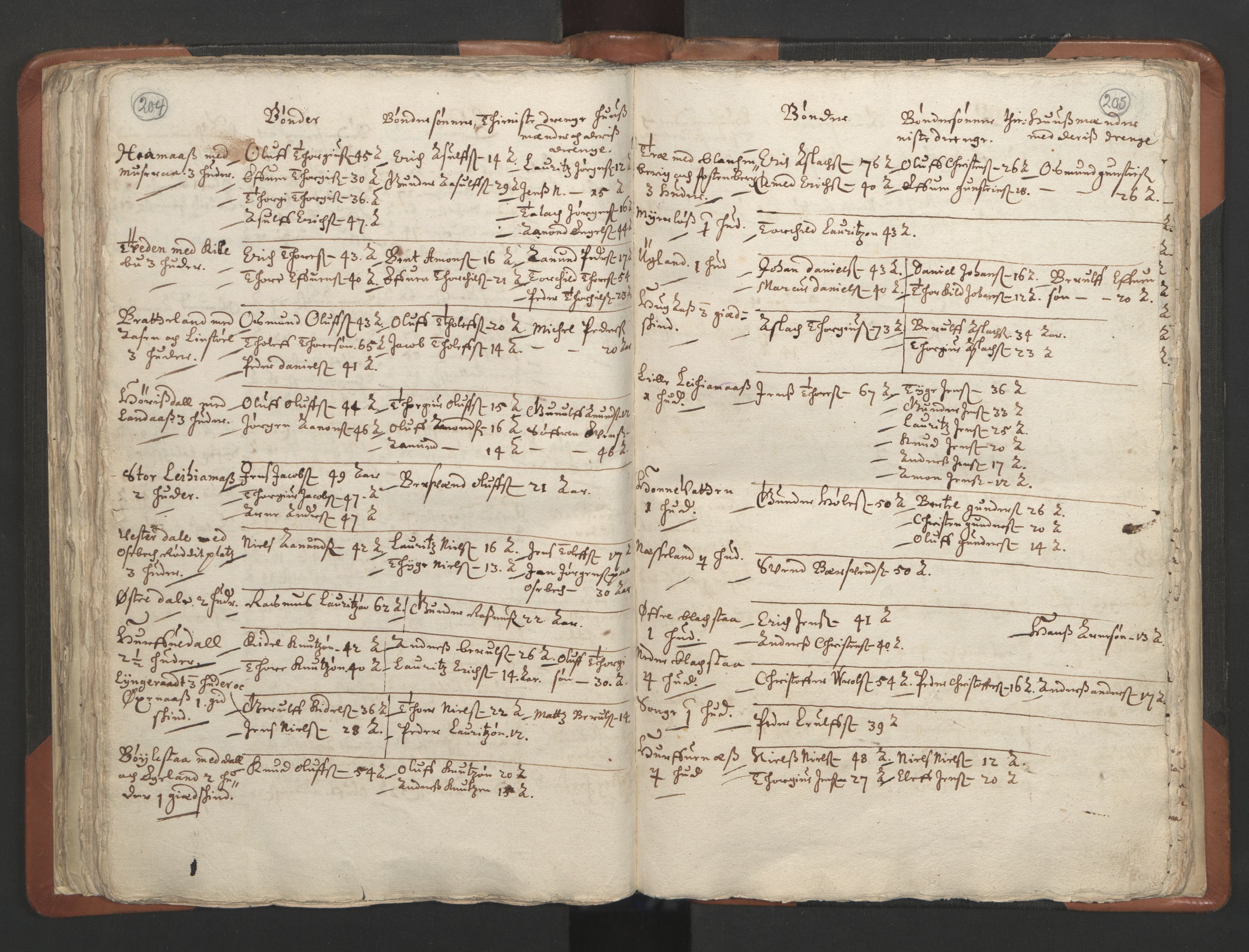 RA, Vicar's Census 1664-1666, no. 13: Nedenes deanery, 1664-1666, p. 204-205