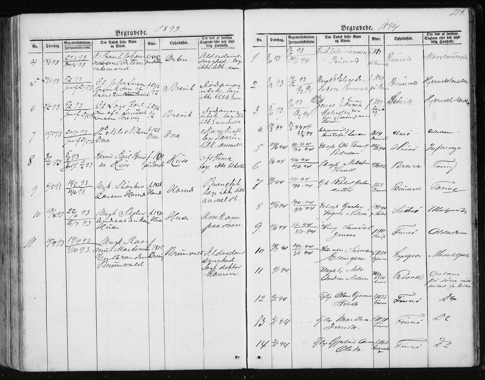 Ministerialprotokoller, klokkerbøker og fødselsregistre - Møre og Romsdal, AV/SAT-A-1454/561/L0732: Parish register (copy) no. 561C02, 1867-1900, p. 258