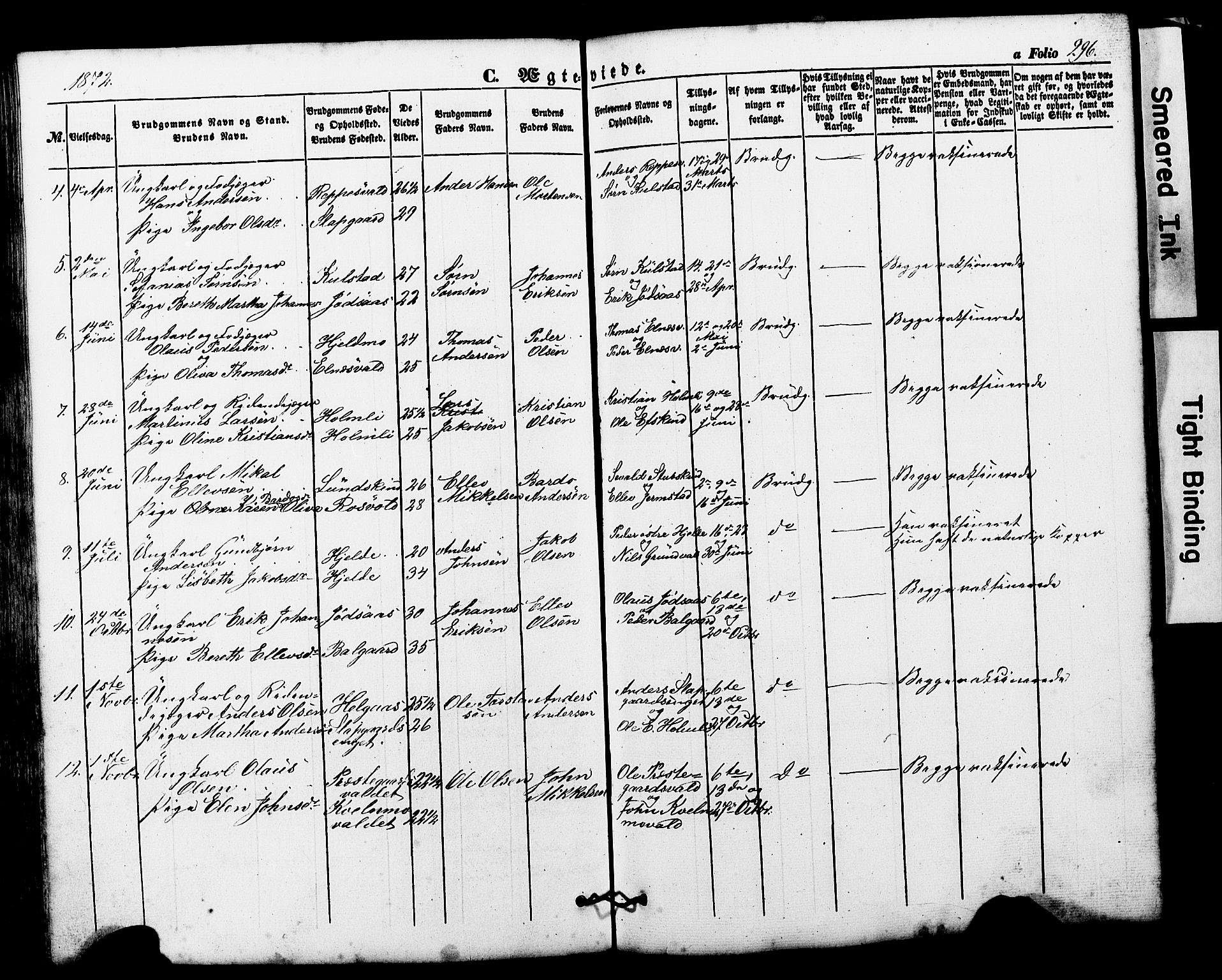 Ministerialprotokoller, klokkerbøker og fødselsregistre - Nord-Trøndelag, SAT/A-1458/724/L0268: Parish register (copy) no. 724C04, 1846-1878, p. 296