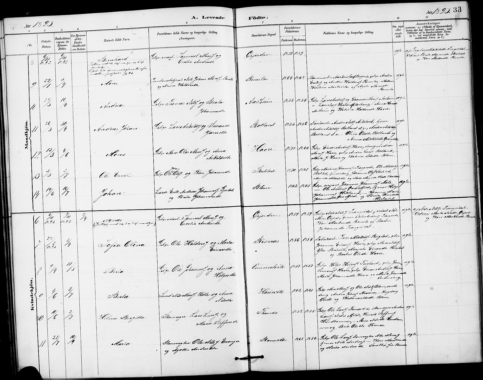 Haus sokneprestembete, AV/SAB-A-75601/H/Hab: Parish register (copy) no. B 3, 1885-1899, p. 33
