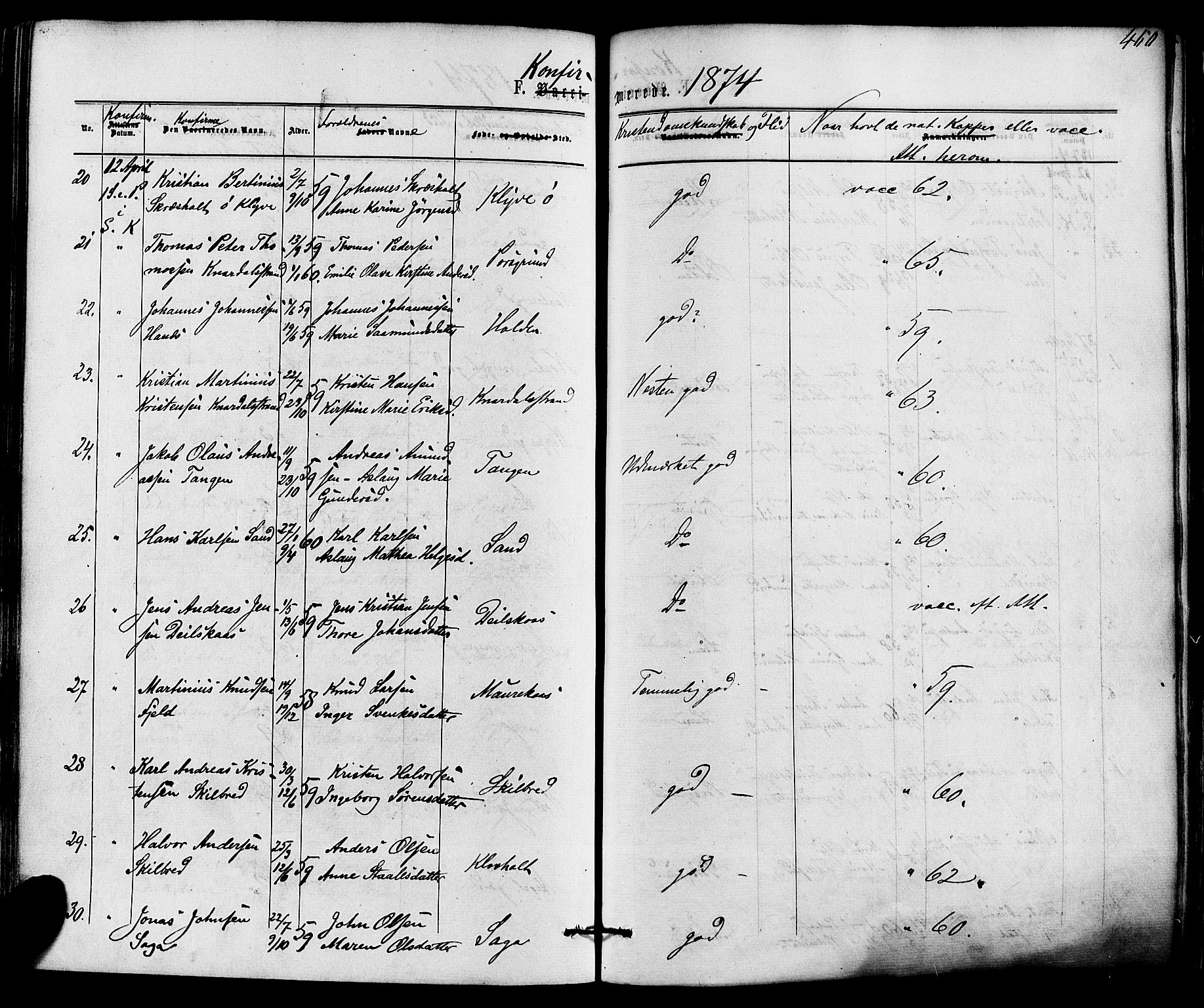 Solum kirkebøker, AV/SAKO-A-306/F/Fa/L0008: Parish register (official) no. I 8, 1865-1876, p. 460