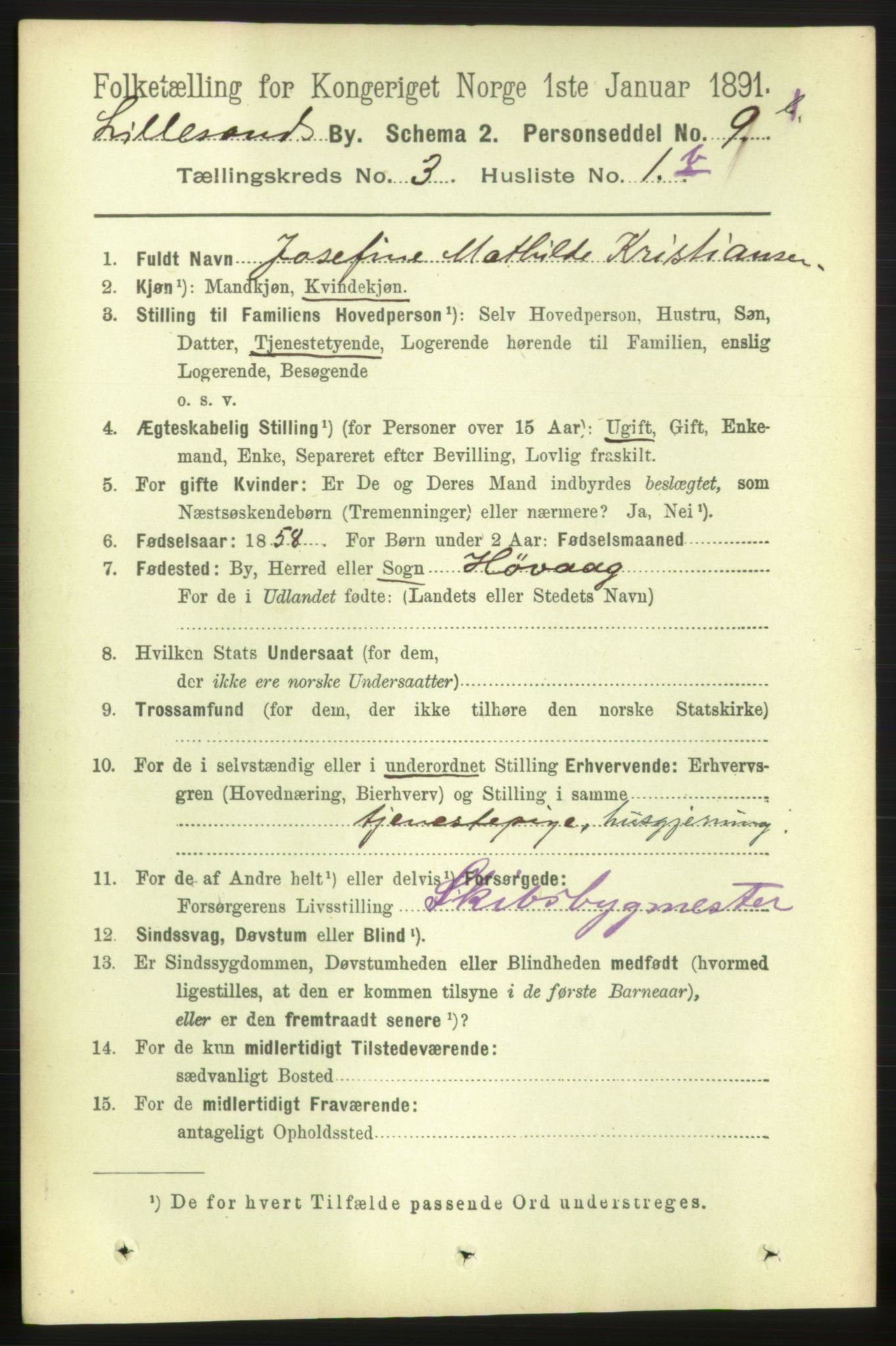 RA, 1891 census for 0905 Lillesand, 1891, p. 650