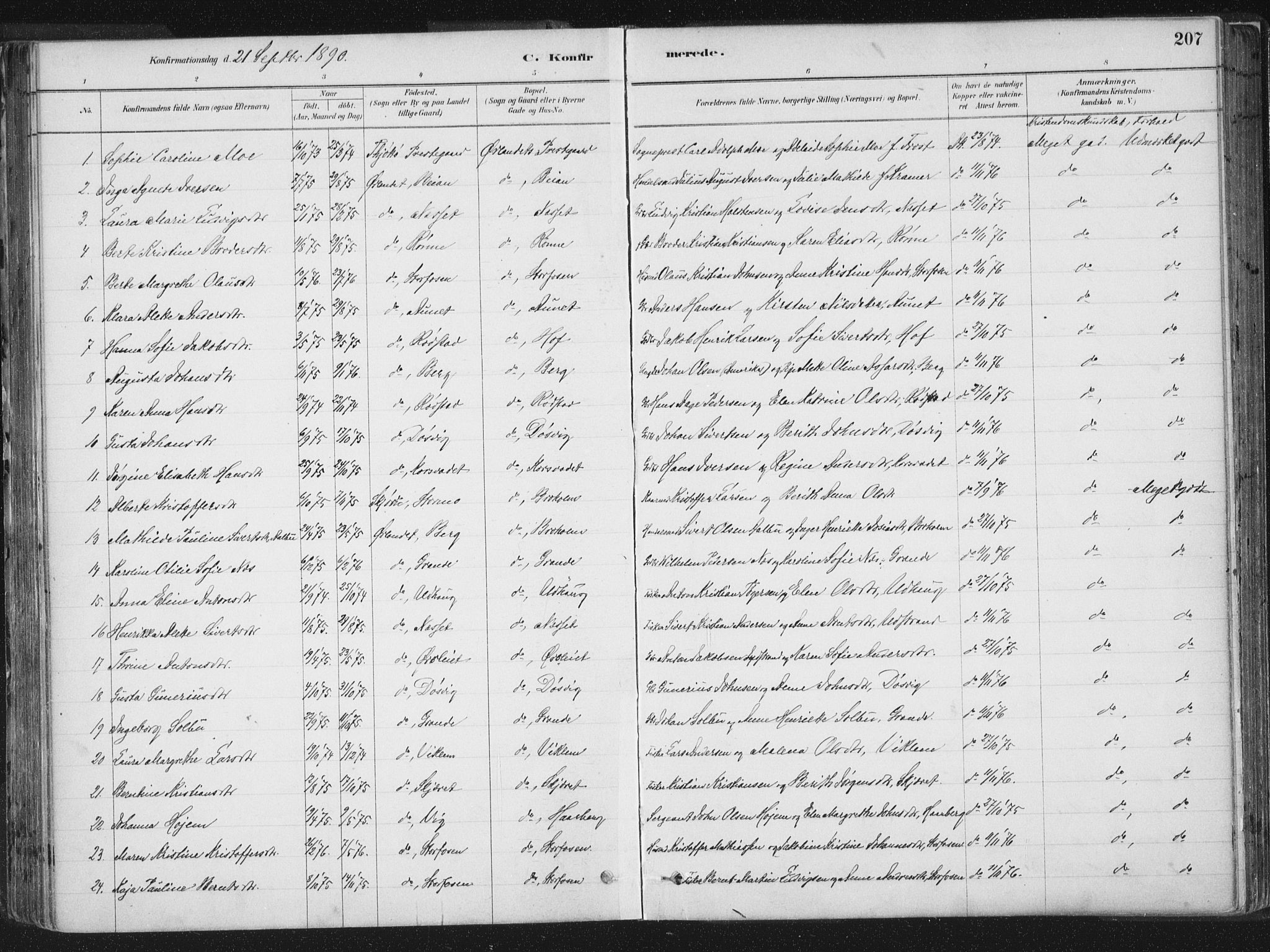 Ministerialprotokoller, klokkerbøker og fødselsregistre - Sør-Trøndelag, AV/SAT-A-1456/659/L0739: Parish register (official) no. 659A09, 1879-1893, p. 207