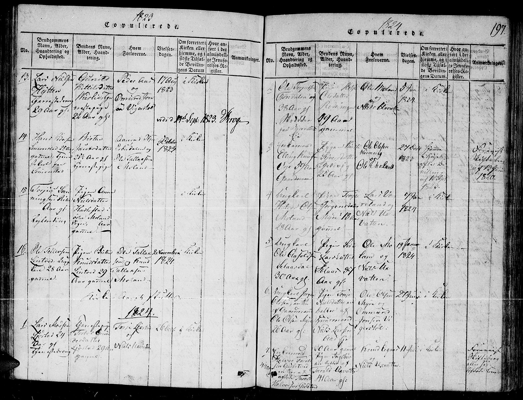 Gjerstad sokneprestkontor, SAK/1111-0014/F/Fb/Fbb/L0001: Parish register (copy) no. B 1, 1813-1863, p. 197