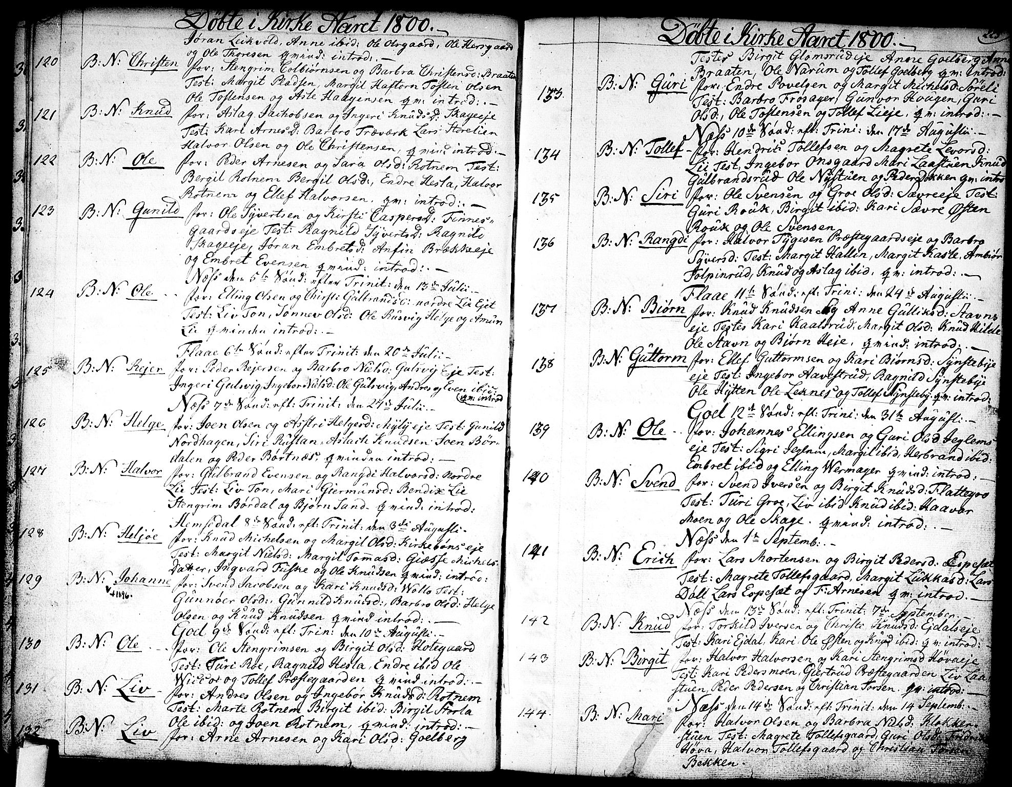 Nes kirkebøker, SAKO/A-236/F/Fa/L0005: Parish register (official) no. 5, 1787-1807, p. 224-225