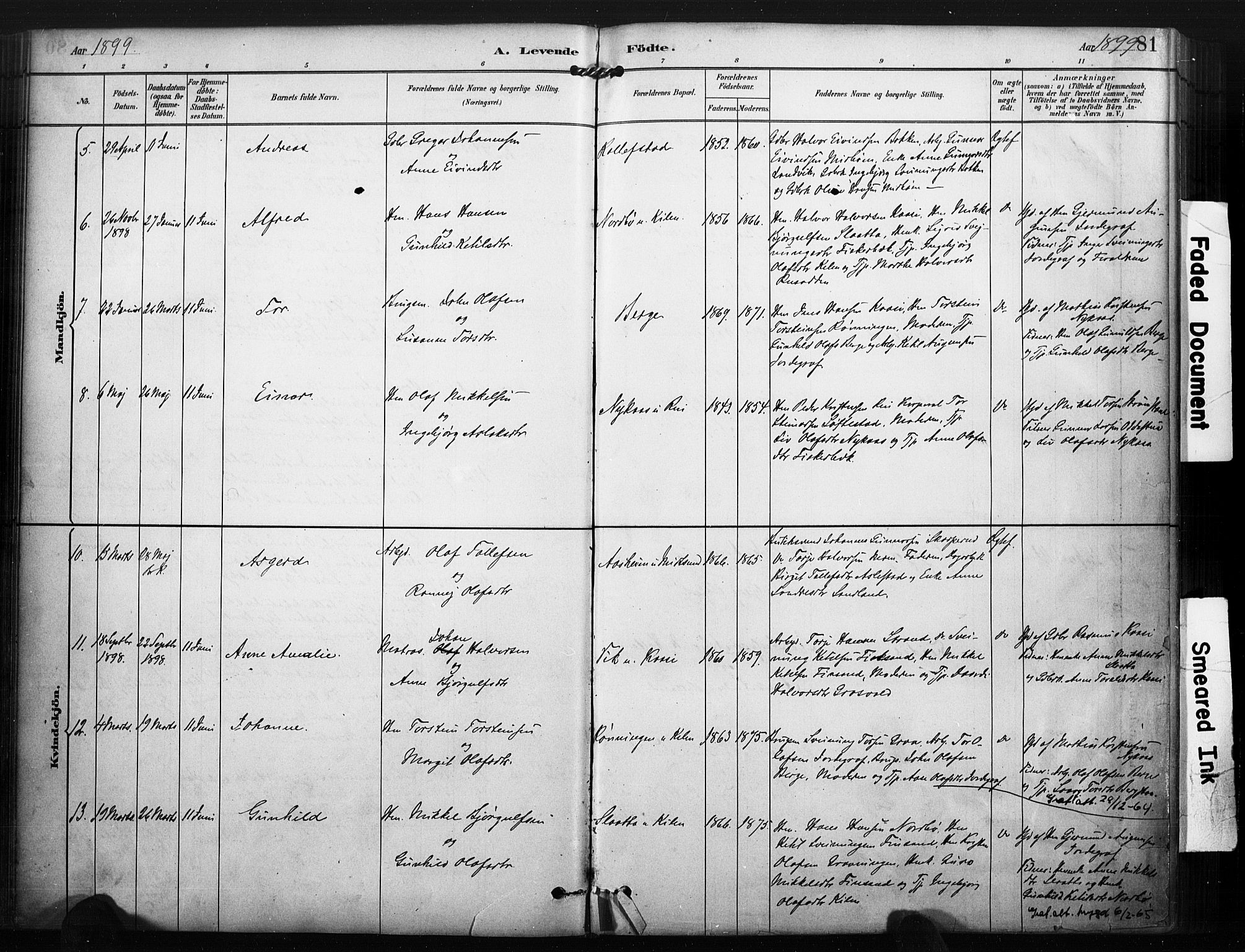 Kviteseid kirkebøker, AV/SAKO-A-276/F/Fa/L0008: Parish register (official) no. I 8, 1882-1903, p. 81