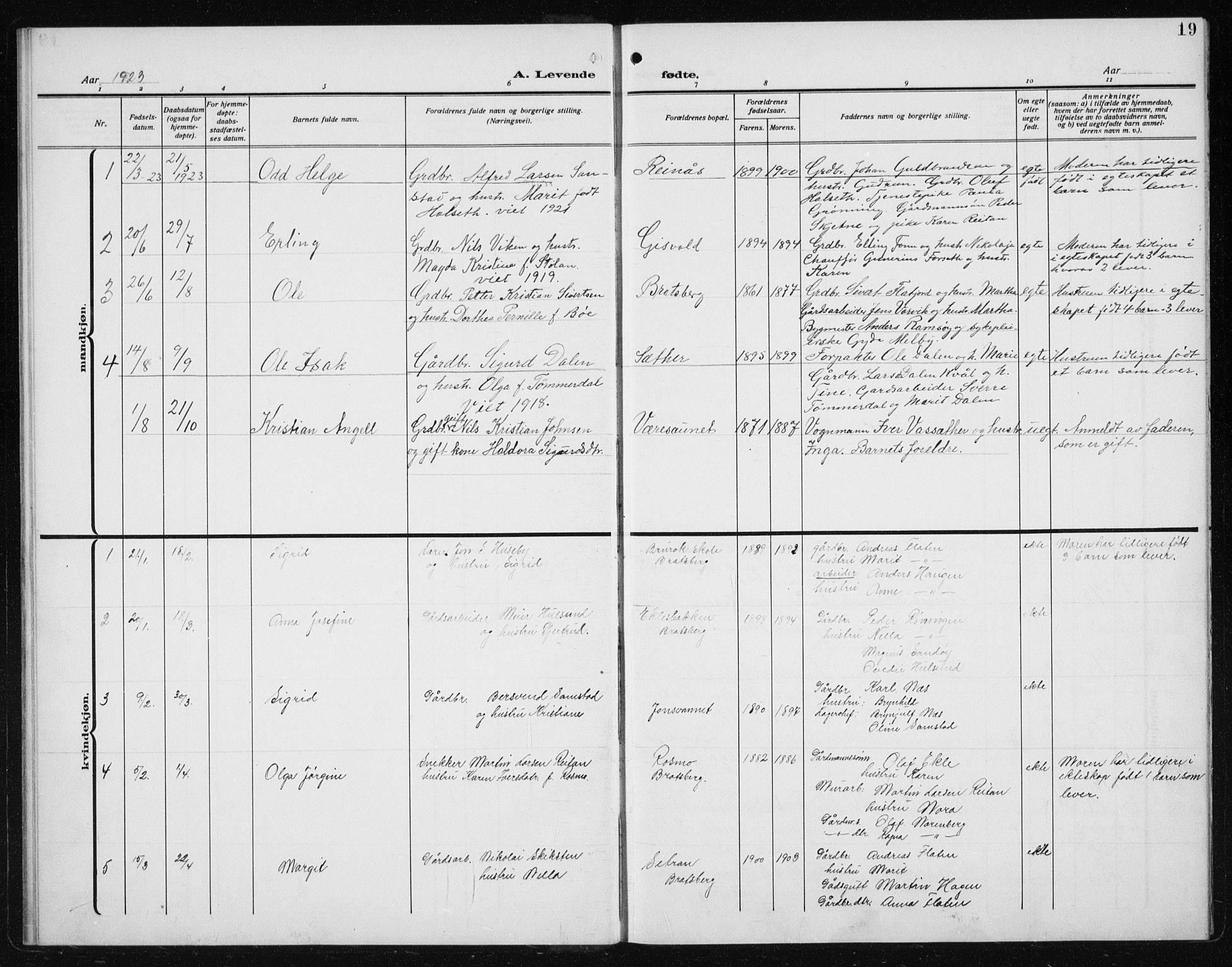 Ministerialprotokoller, klokkerbøker og fødselsregistre - Sør-Trøndelag, SAT/A-1456/608/L0342: Parish register (copy) no. 608C08, 1912-1938, p. 19