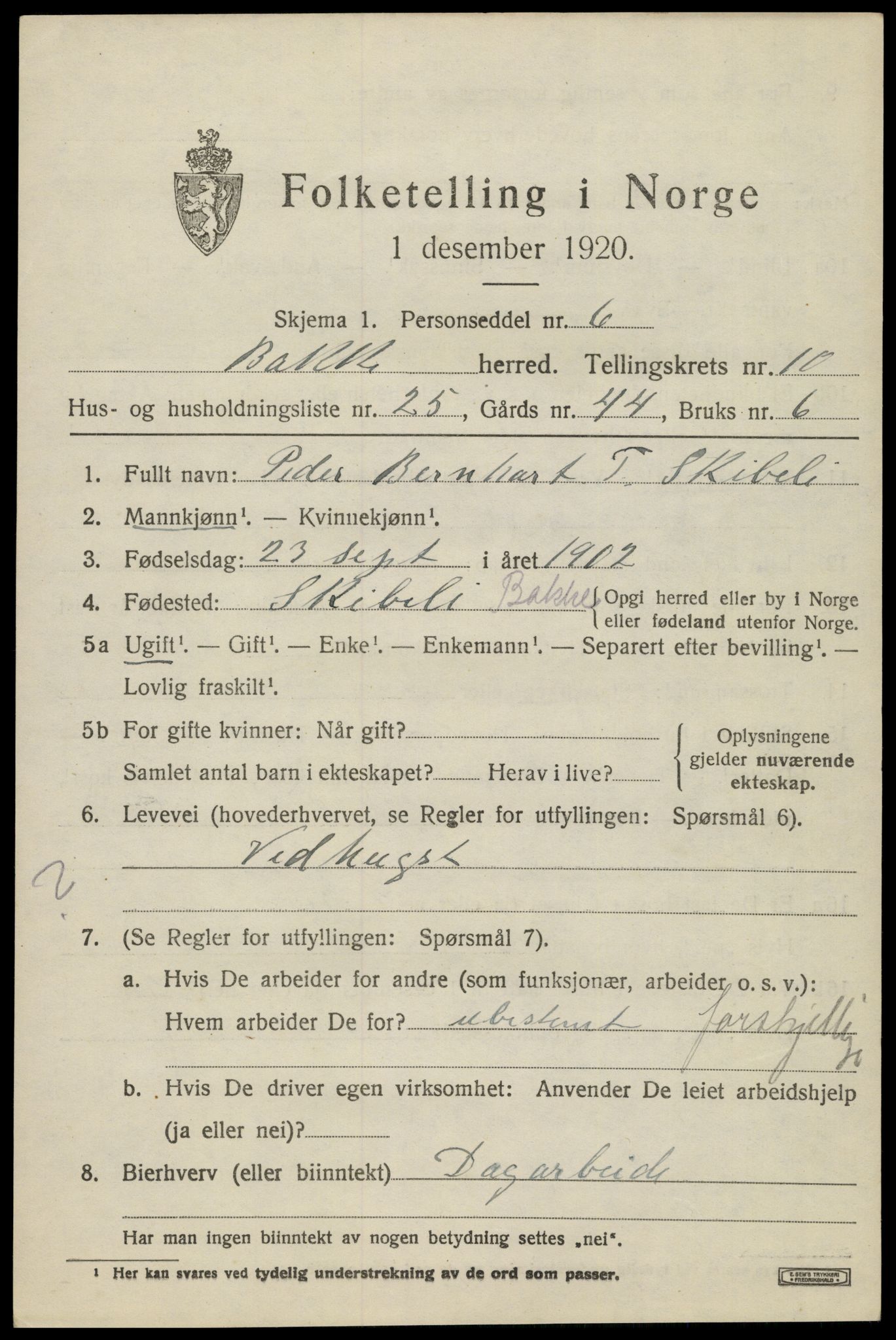 SAK, 1920 census for Bakke, 1920, p. 2824