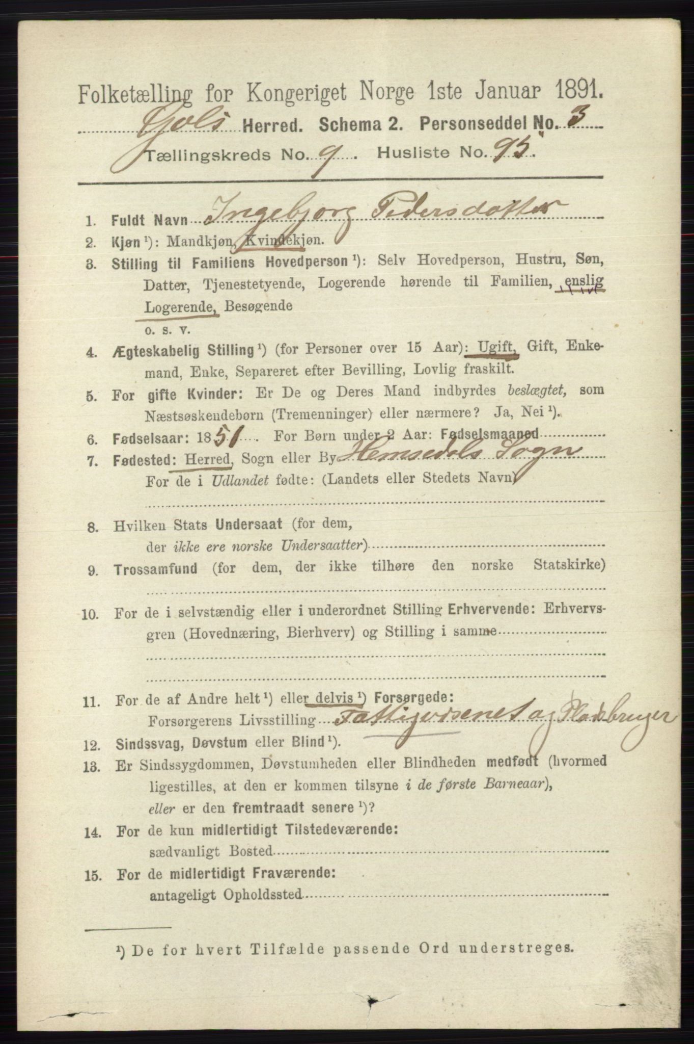 RA, 1891 census for 0617 Gol og Hemsedal, 1891, p. 3971