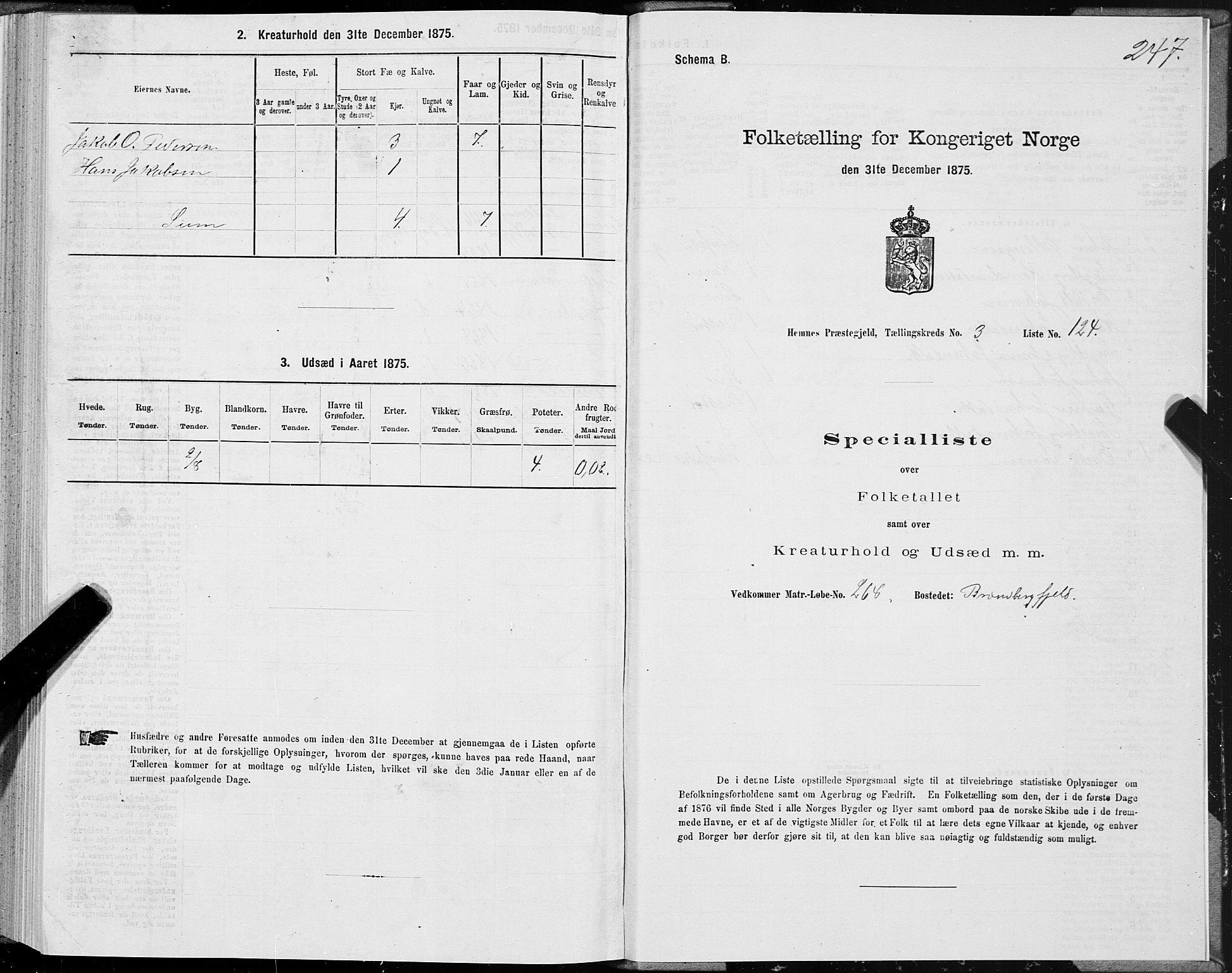 SAT, 1875 census for 1832P Hemnes, 1875, p. 2247