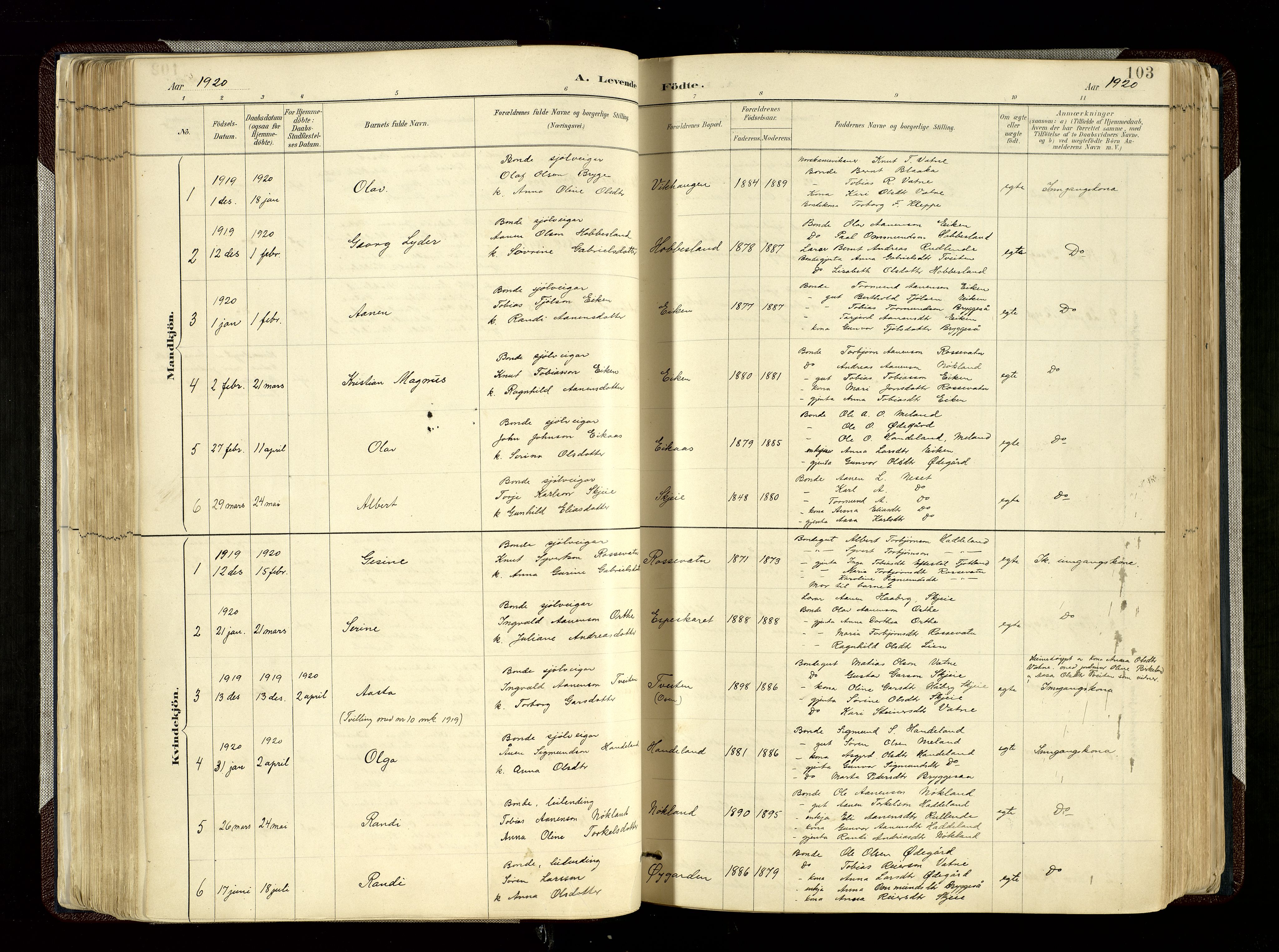 Hægebostad sokneprestkontor, AV/SAK-1111-0024/F/Fa/Fab/L0004: Parish register (official) no. A 4, 1887-1929, p. 103