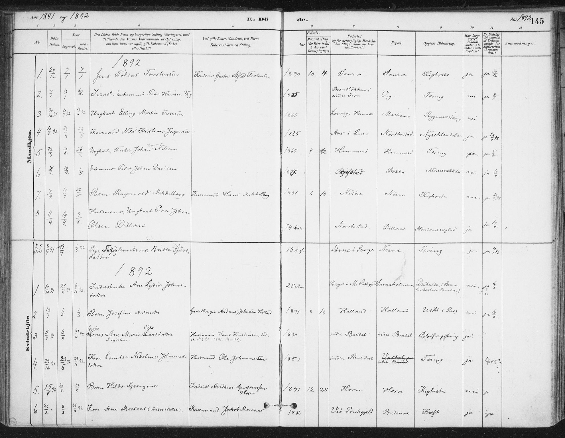 Ministerialprotokoller, klokkerbøker og fødselsregistre - Nordland, AV/SAT-A-1459/838/L0553: Parish register (official) no. 838A11, 1880-1910, p. 145