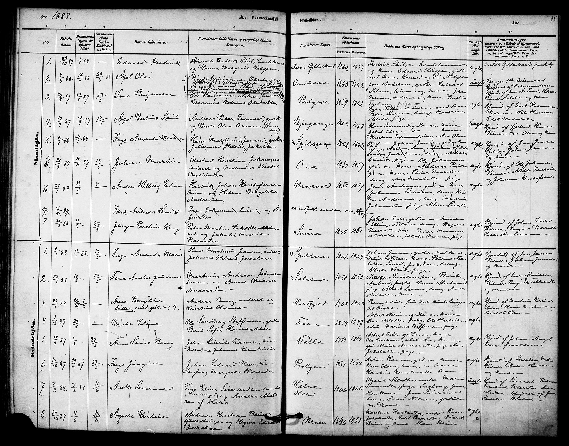 Ministerialprotokoller, klokkerbøker og fødselsregistre - Nordland, SAT/A-1459/843/L0626: Parish register (official) no. 843A01, 1878-1907, p. 85