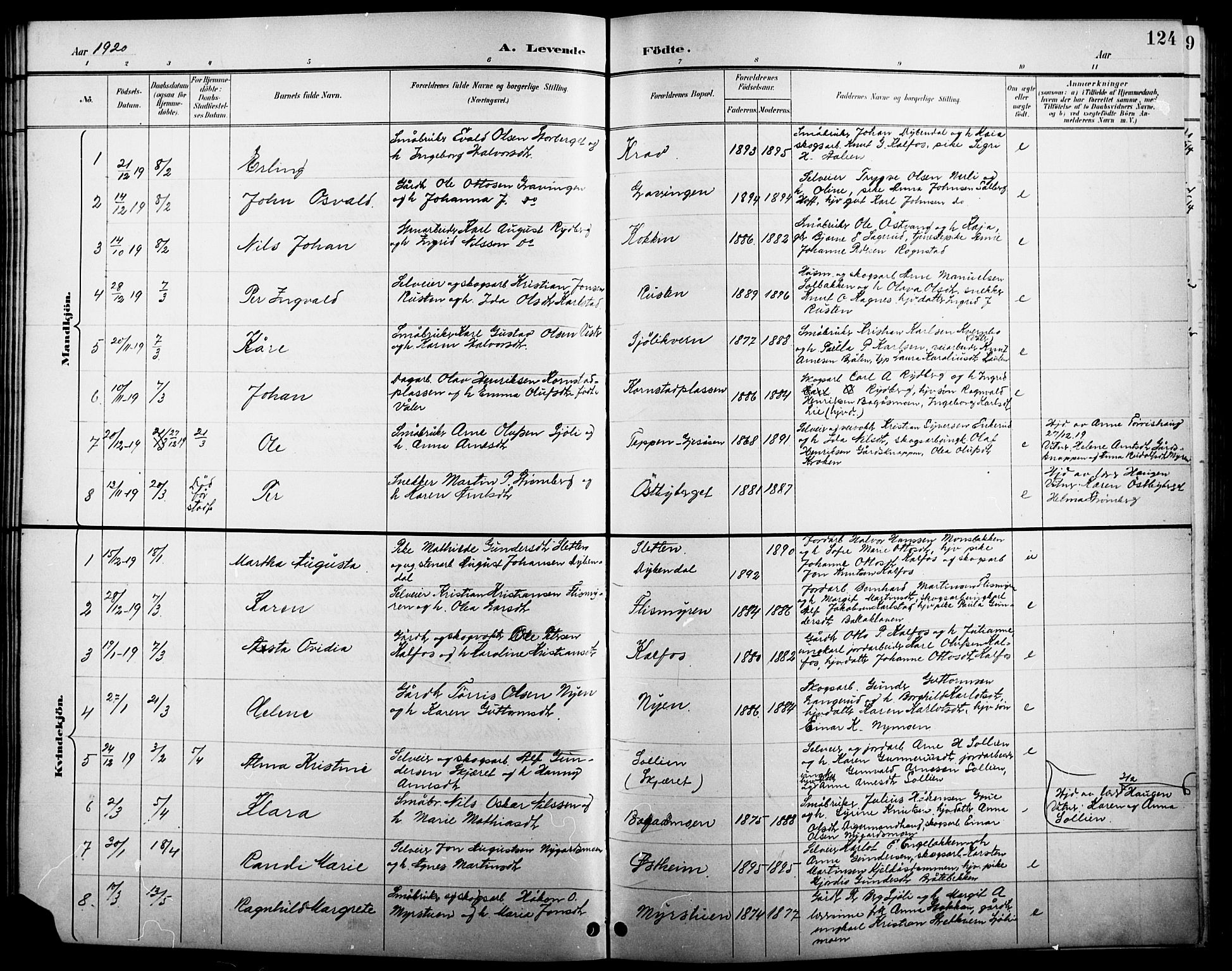 Åsnes prestekontor, AV/SAH-PREST-042/H/Ha/Hab/L0005: Parish register (copy) no. 5, 1895-1920, p. 124
