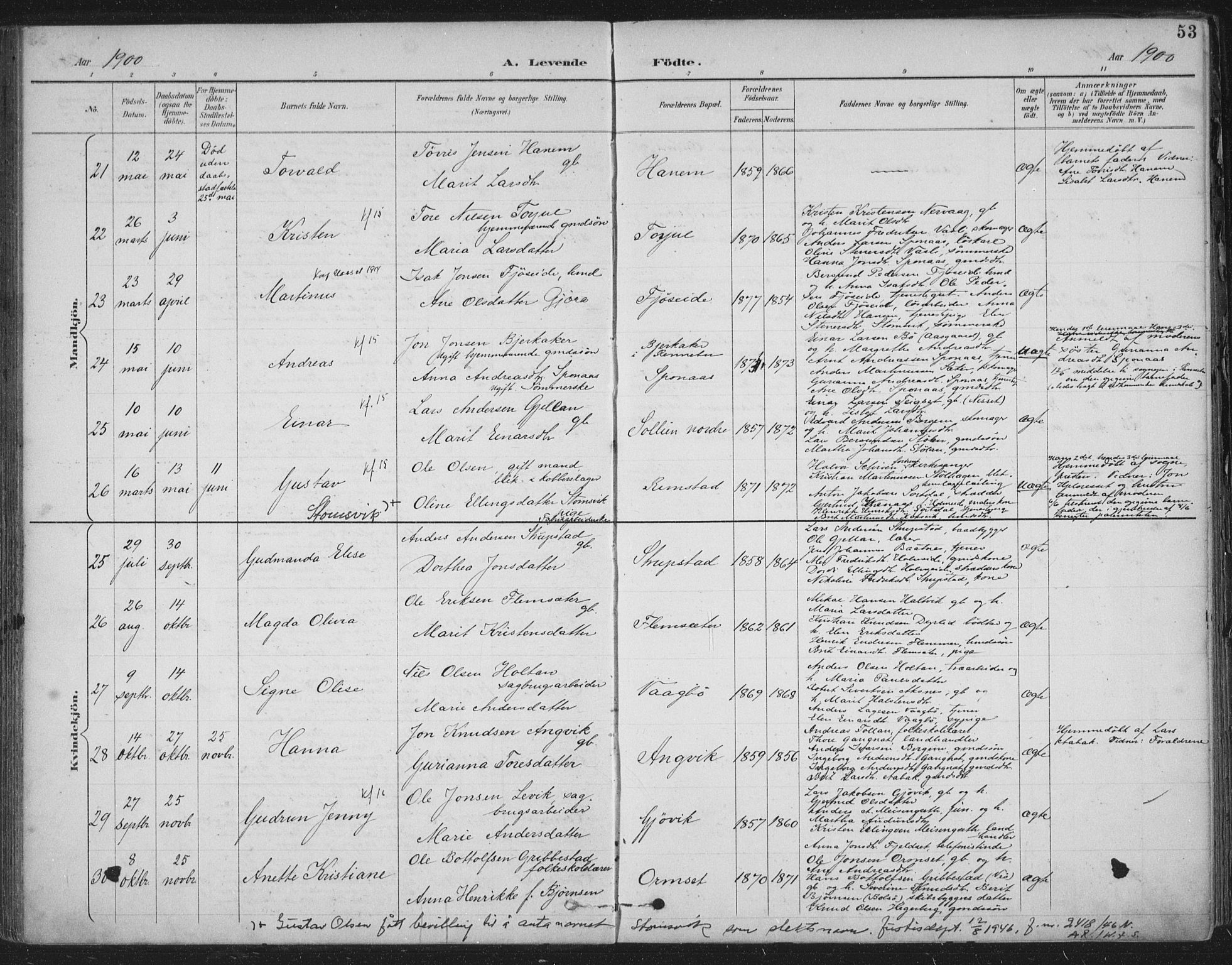 Ministerialprotokoller, klokkerbøker og fødselsregistre - Møre og Romsdal, AV/SAT-A-1454/586/L0988: Parish register (official) no. 586A14, 1893-1905, p. 53