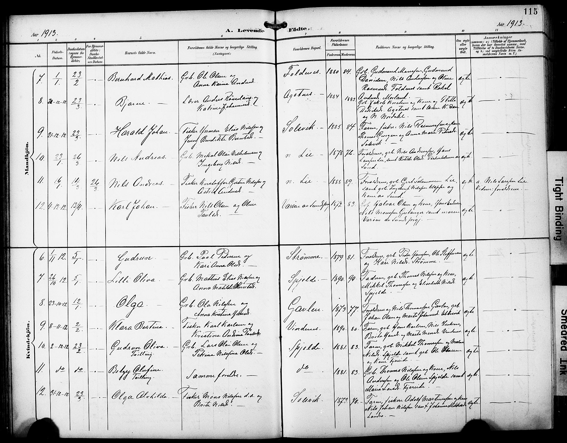 Fjell sokneprestembete, SAB/A-75301/H/Hab: Parish register (copy) no. A 5, 1899-1918, p. 115