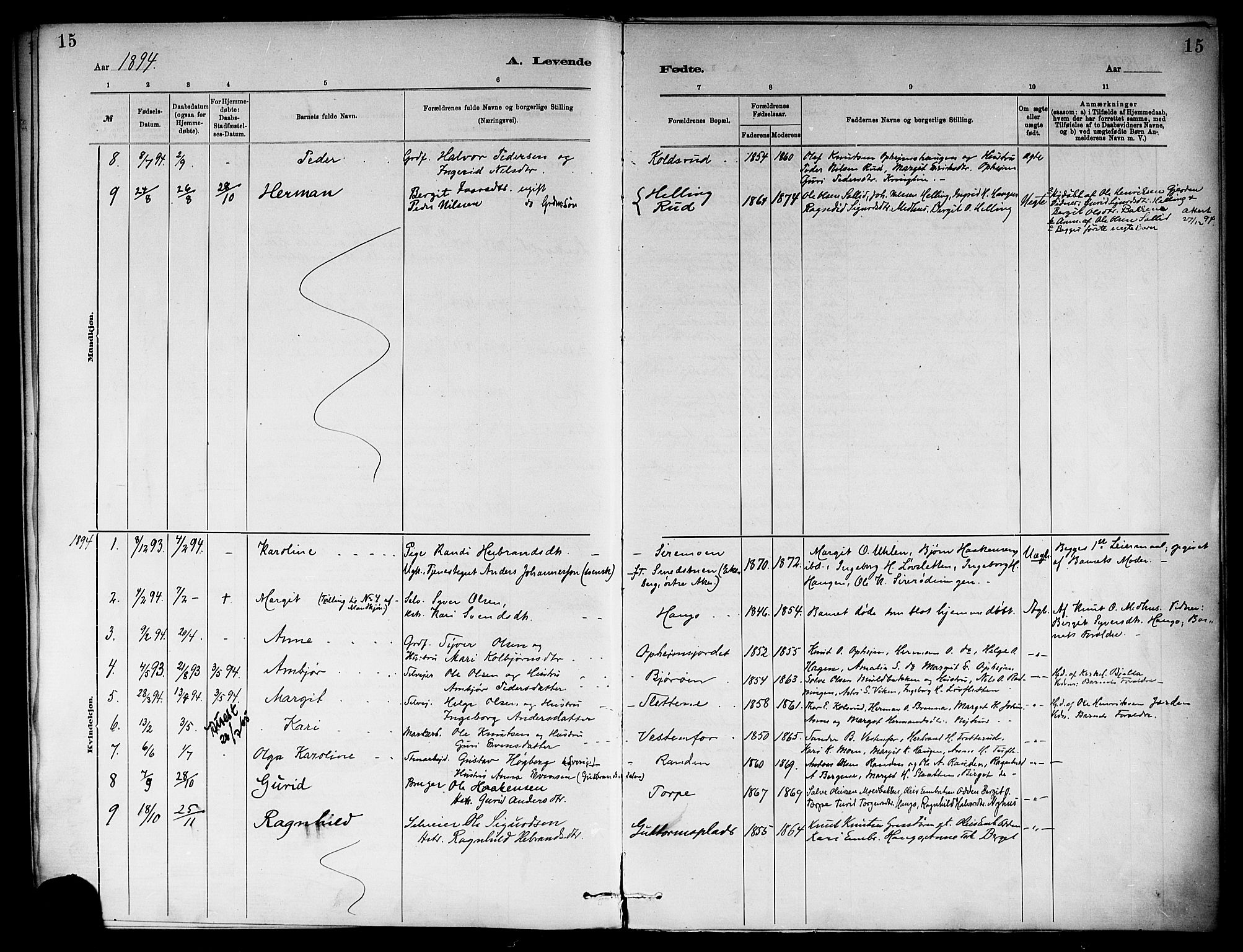 Ål kirkebøker, SAKO/A-249/F/Fb/L0001: Parish register (official) no. II 1, 1882-1899, p. 15