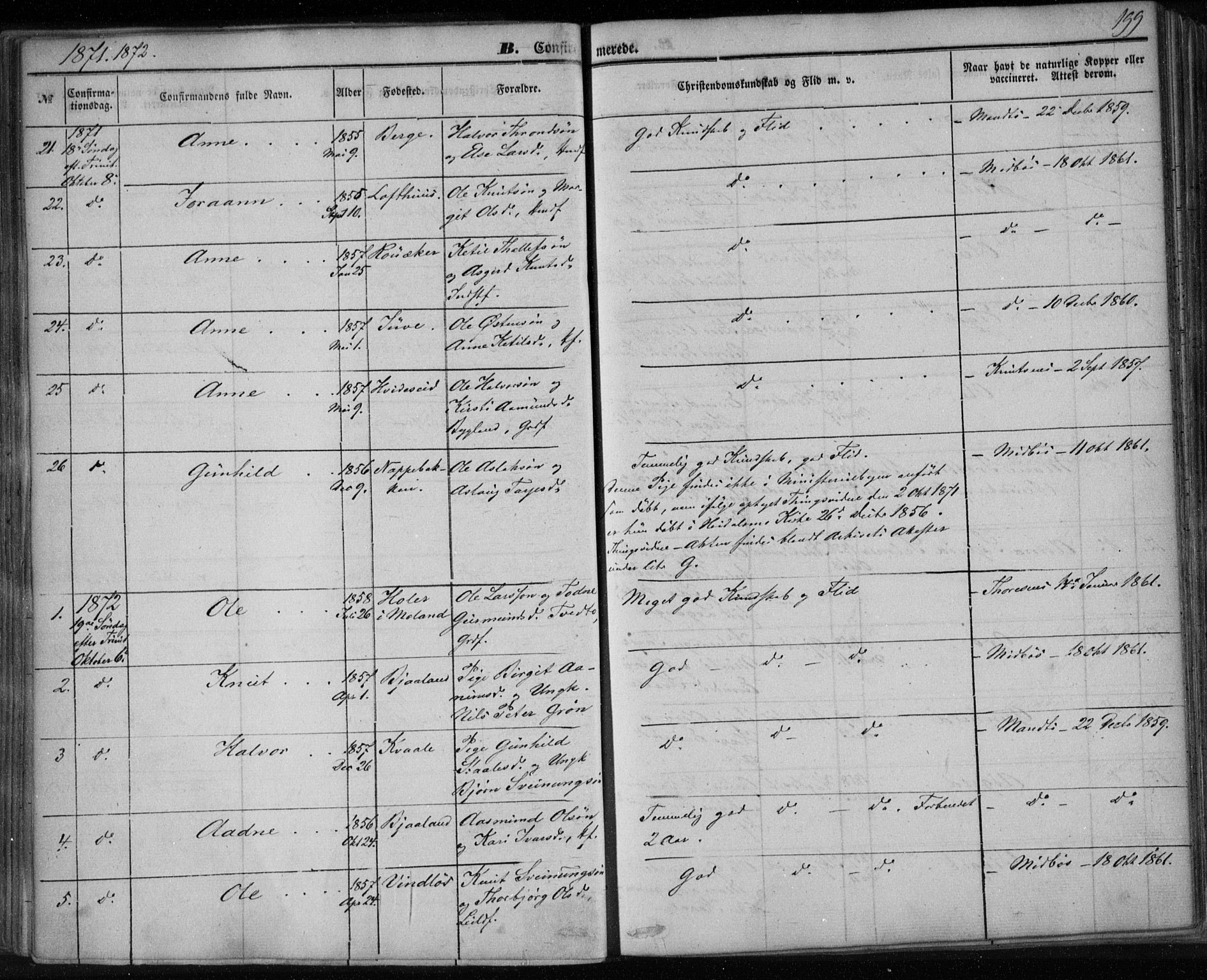 Lårdal kirkebøker, SAKO/A-284/F/Fa/L0006: Parish register (official) no. I 6, 1861-1886, p. 199