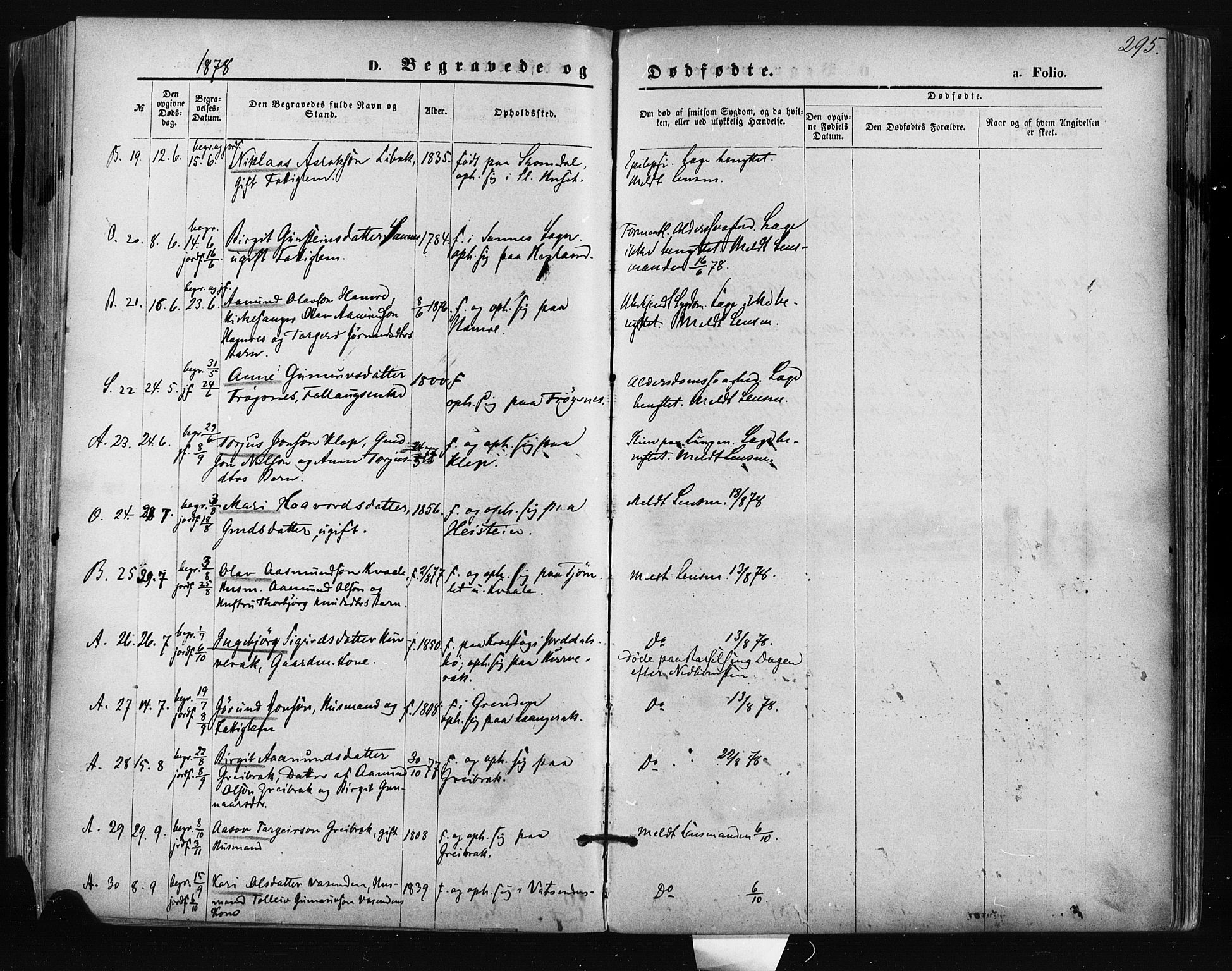 Bygland sokneprestkontor, AV/SAK-1111-0006/F/Fa/Fab/L0006: Parish register (official) no. A 6, 1873-1884, p. 295