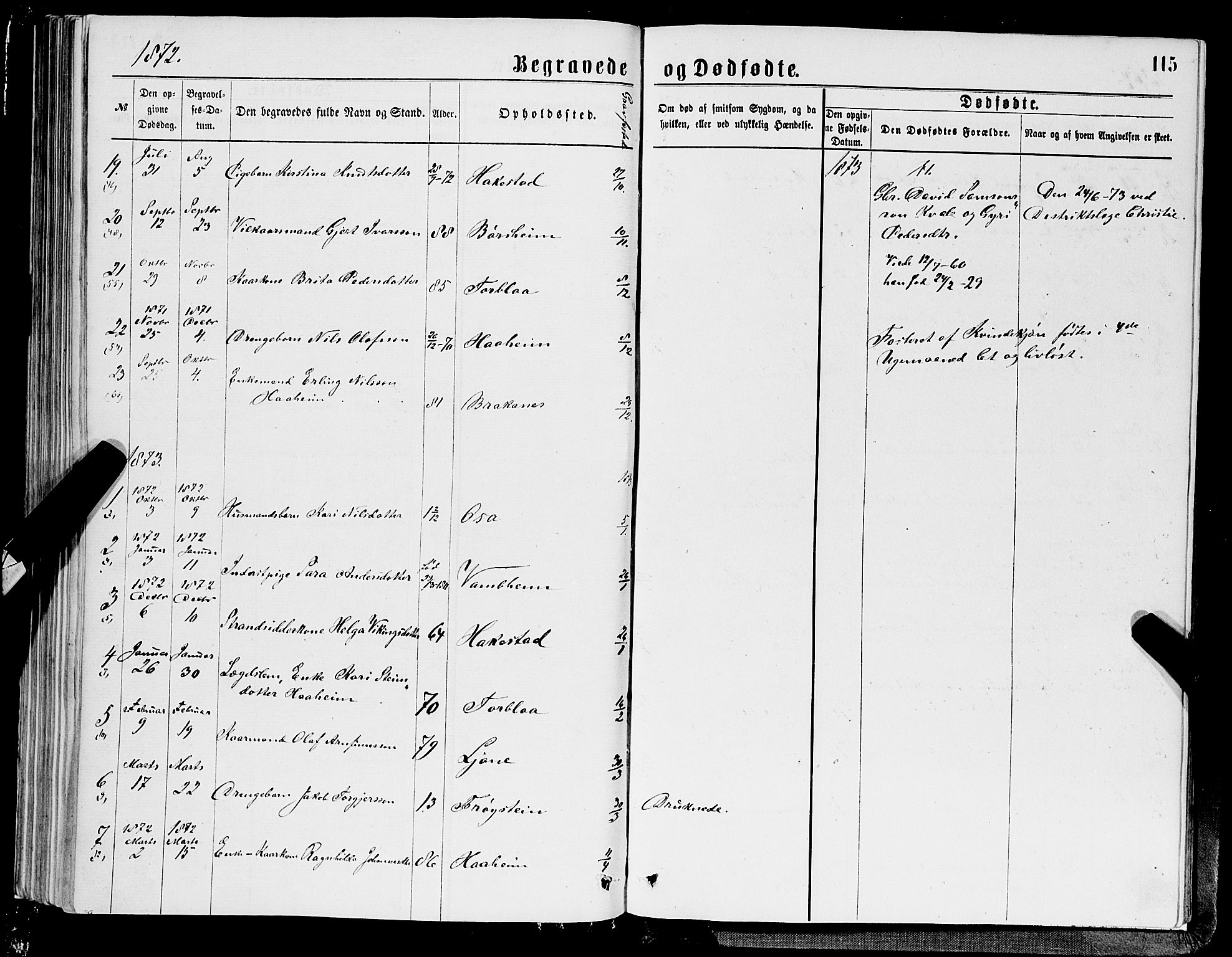 Ulvik sokneprestembete, SAB/A-78801/H/Hab: Parish register (copy) no. A 2, 1869-1882, p. 115