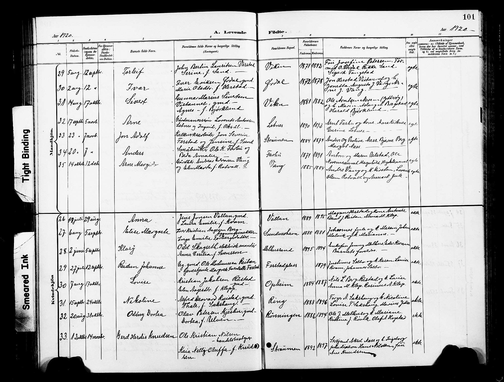 Ministerialprotokoller, klokkerbøker og fødselsregistre - Nord-Trøndelag, AV/SAT-A-1458/730/L0302: Parish register (copy) no. 730C05, 1898-1924, p. 101
