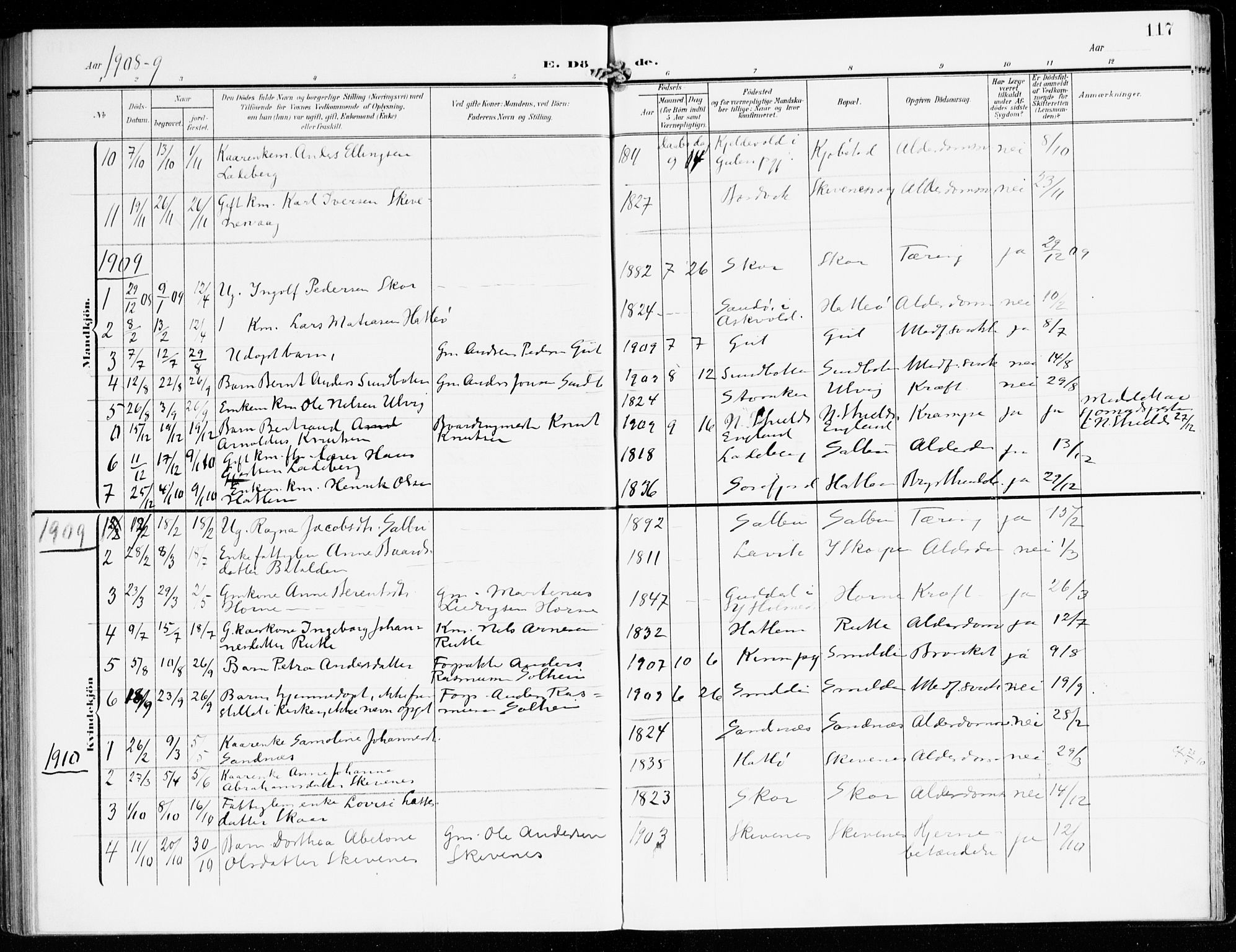 Hyllestad sokneprestembete, SAB/A-80401: Parish register (official) no. D 2, 1905-1919, p. 117