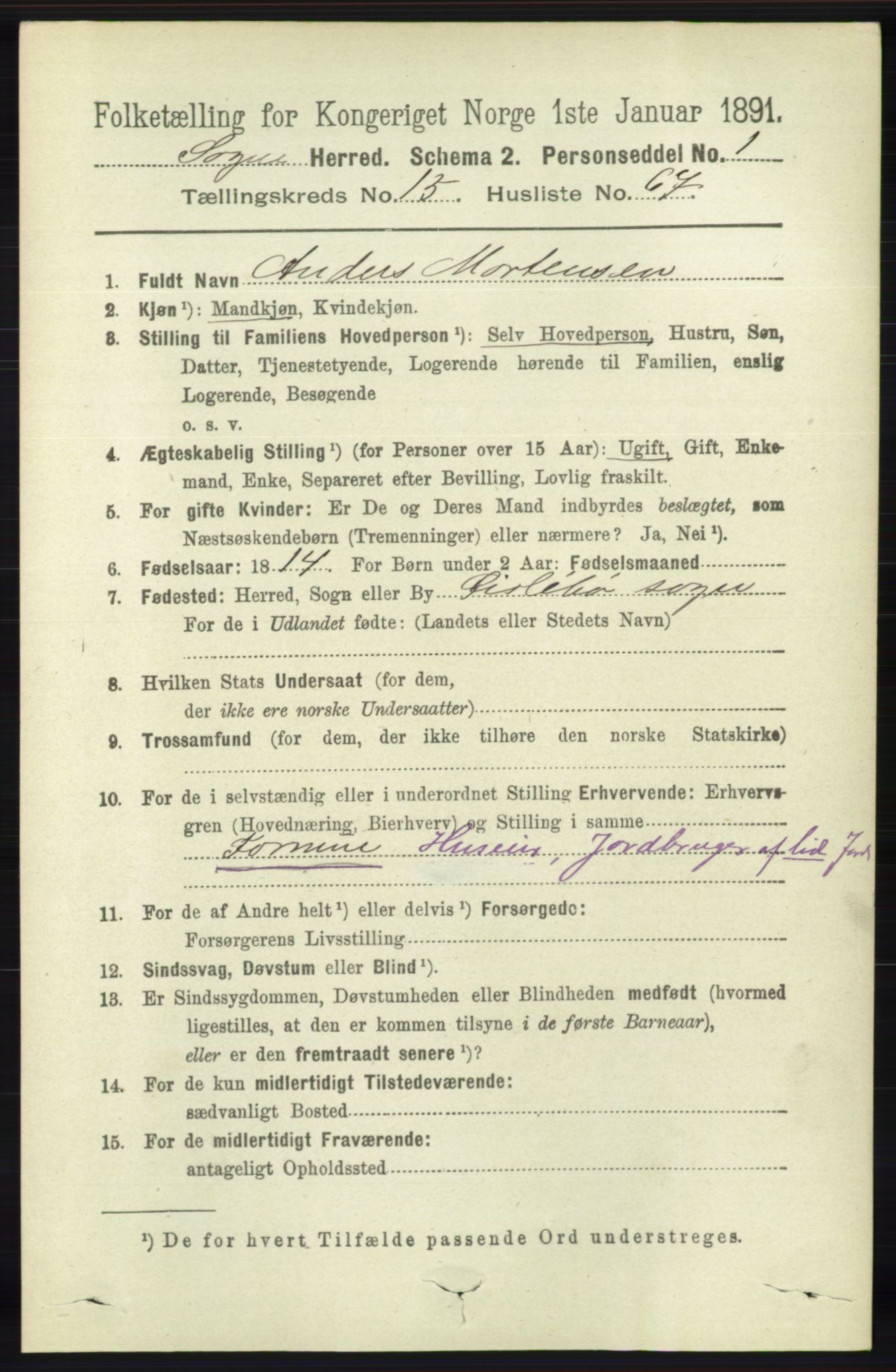 RA, 1891 census for 1018 Søgne, 1891, p. 4217