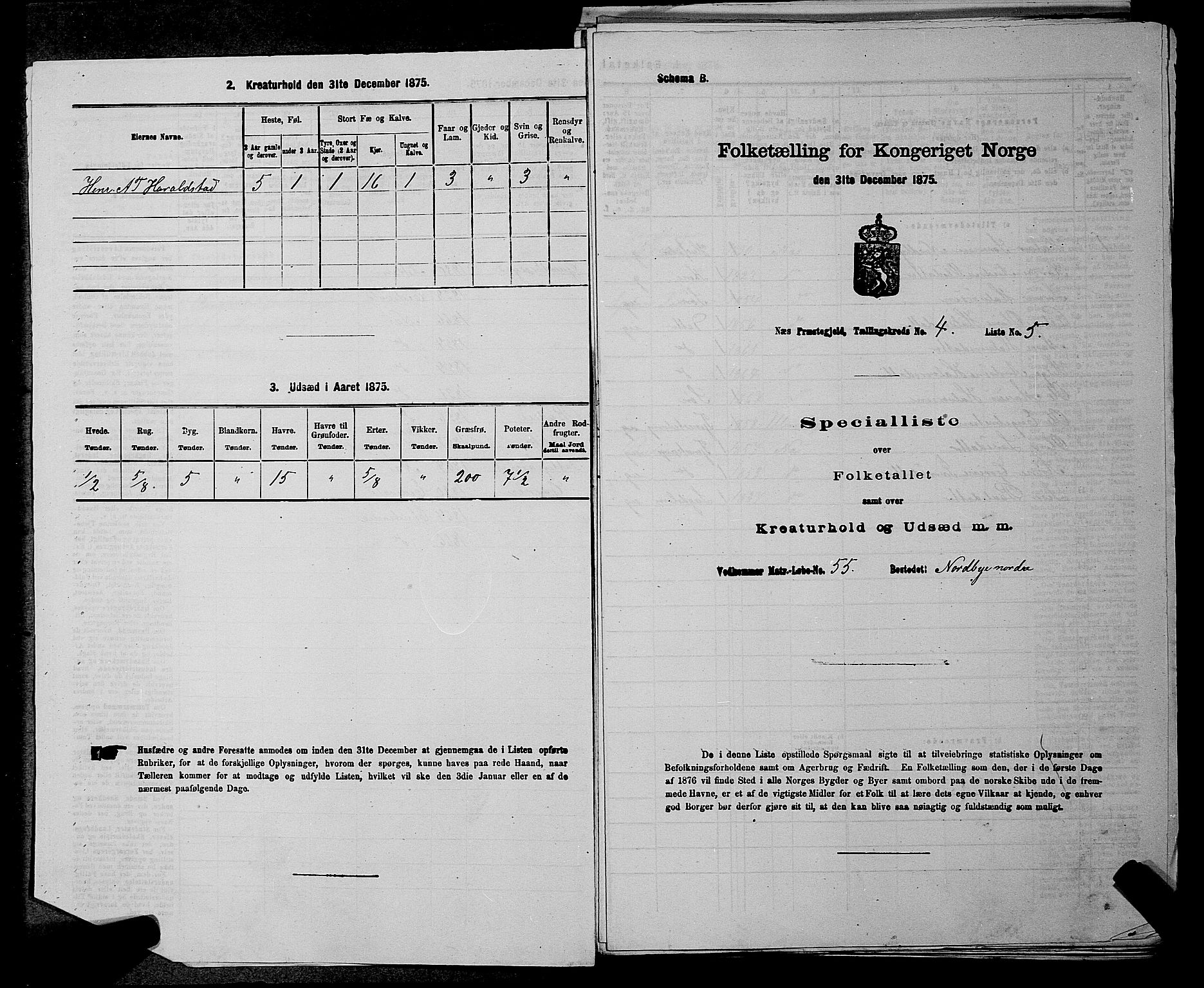 RA, 1875 census for 0236P Nes, 1875, p. 497