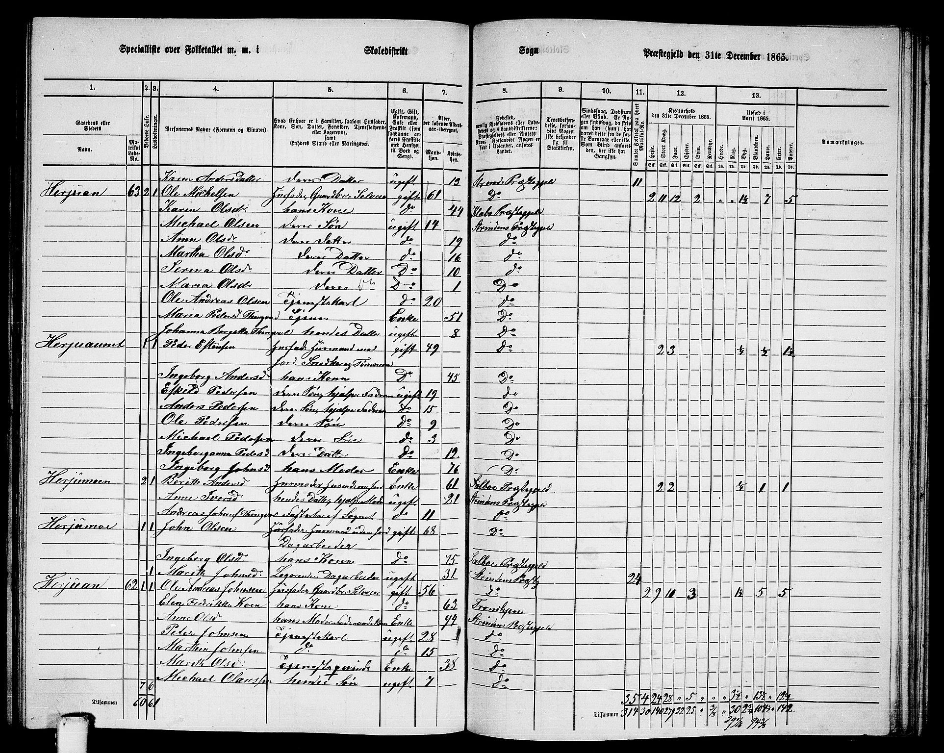 RA, 1865 census for Strinda, 1865, p. 221