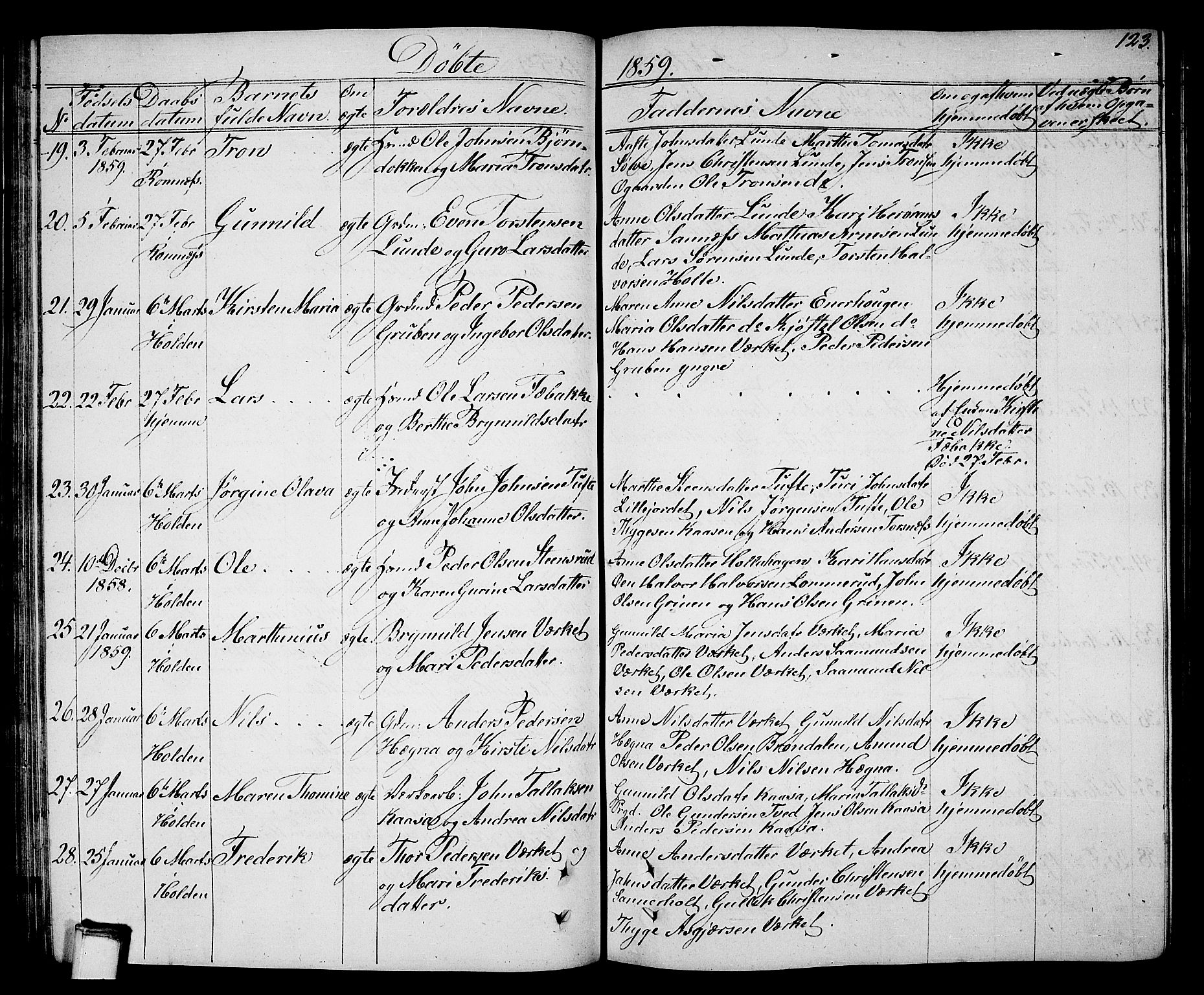 Holla kirkebøker, AV/SAKO-A-272/G/Ga/L0003: Parish register (copy) no. I 3, 1849-1866, p. 123