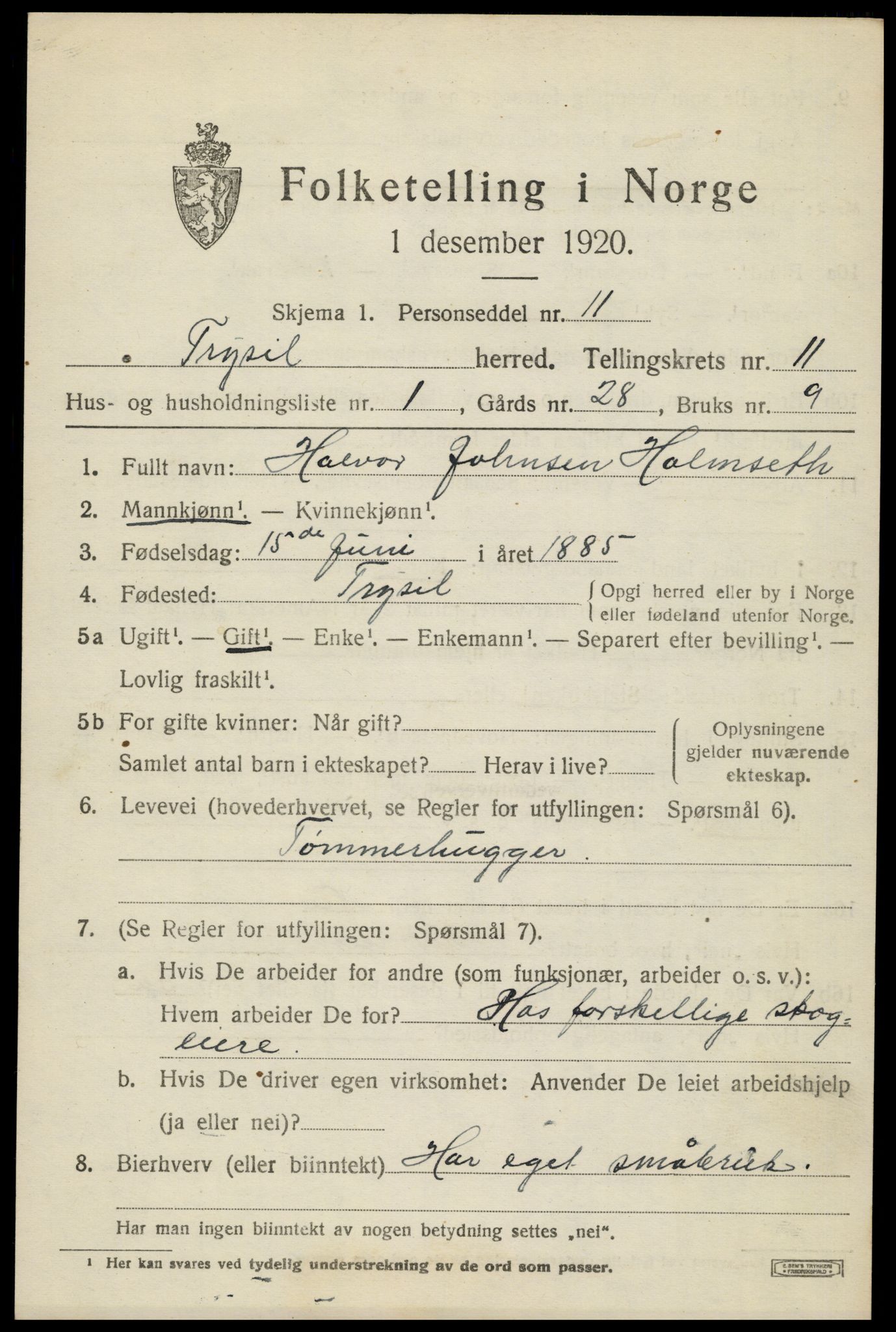 SAH, 1920 census for Trysil, 1920, p. 6977