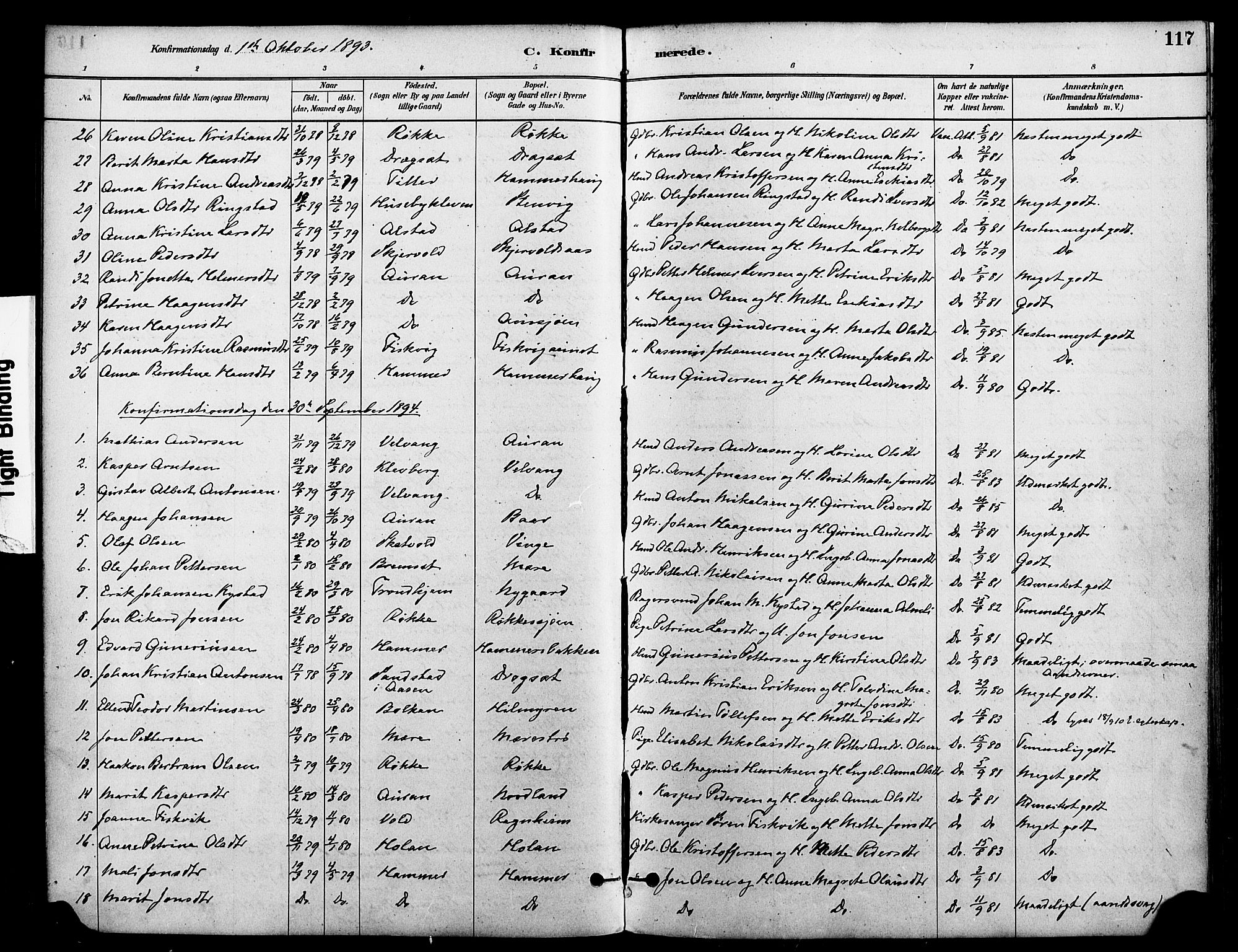 Ministerialprotokoller, klokkerbøker og fødselsregistre - Nord-Trøndelag, SAT/A-1458/712/L0100: Parish register (official) no. 712A01, 1880-1900, p. 117