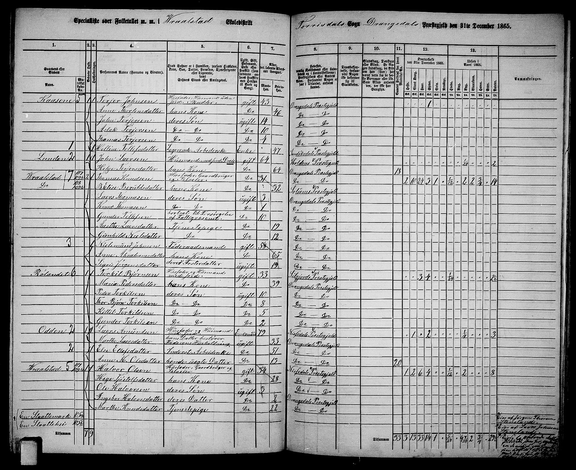 RA, 1865 census for Drangedal, 1865, p. 100