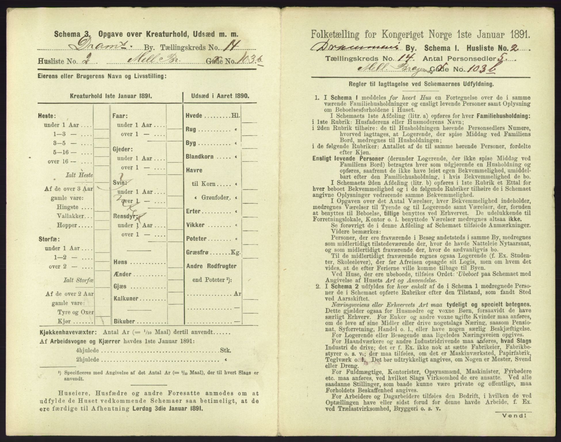 RA, 1891 census for 0602 Drammen, 1891, p. 1155