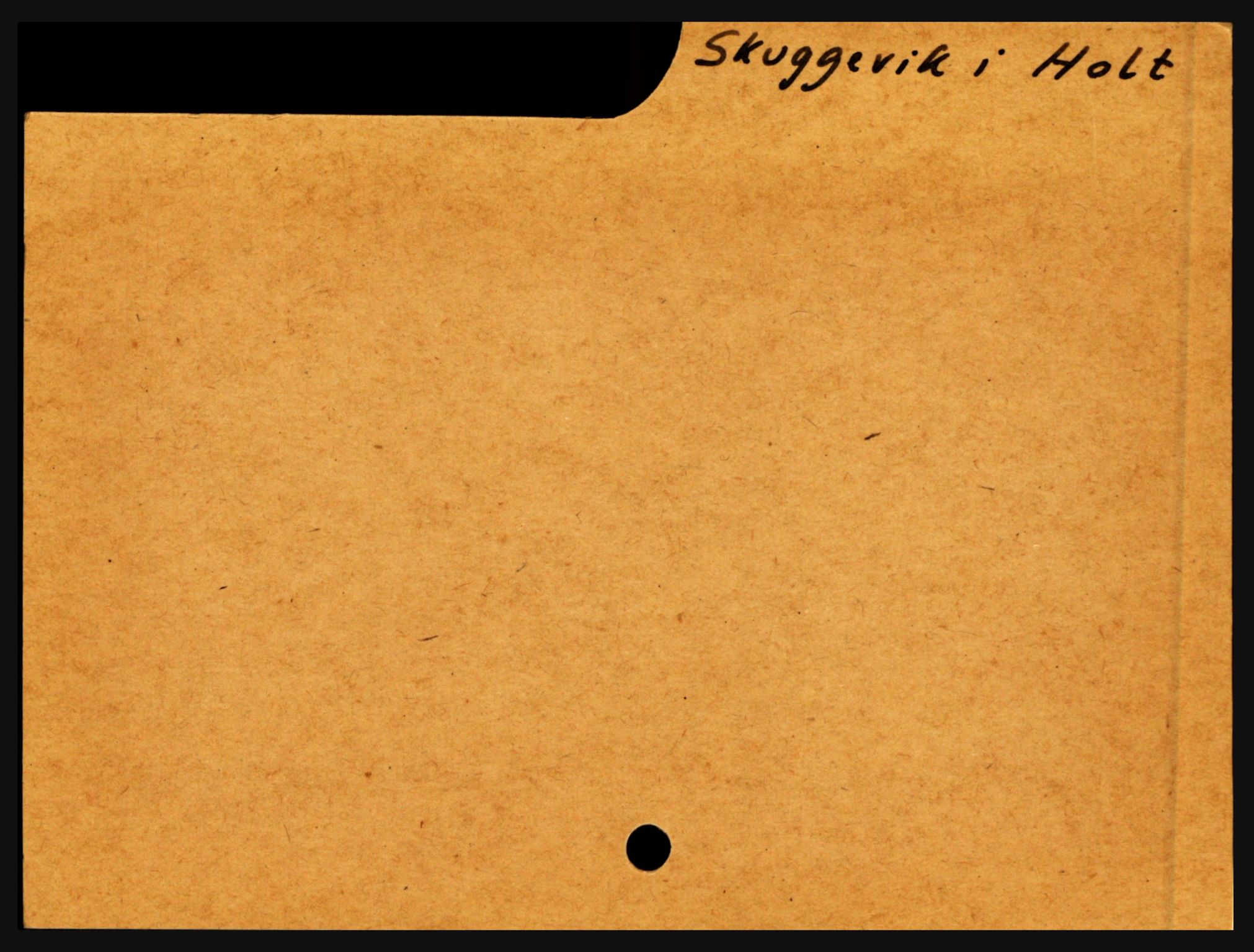 Nedenes sorenskriveri før 1824, SAK/1221-0007/H, p. 27241