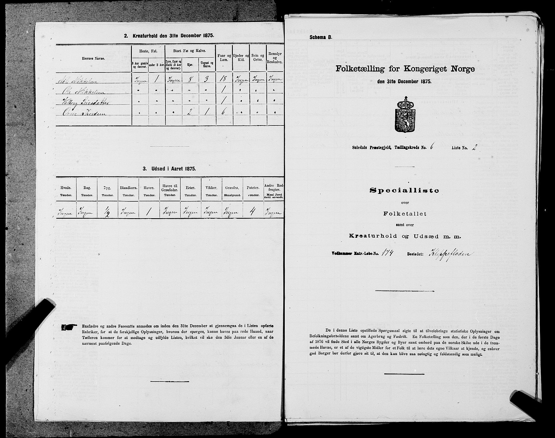 SAST, 1875 census for 1134P Suldal, 1875, p. 675