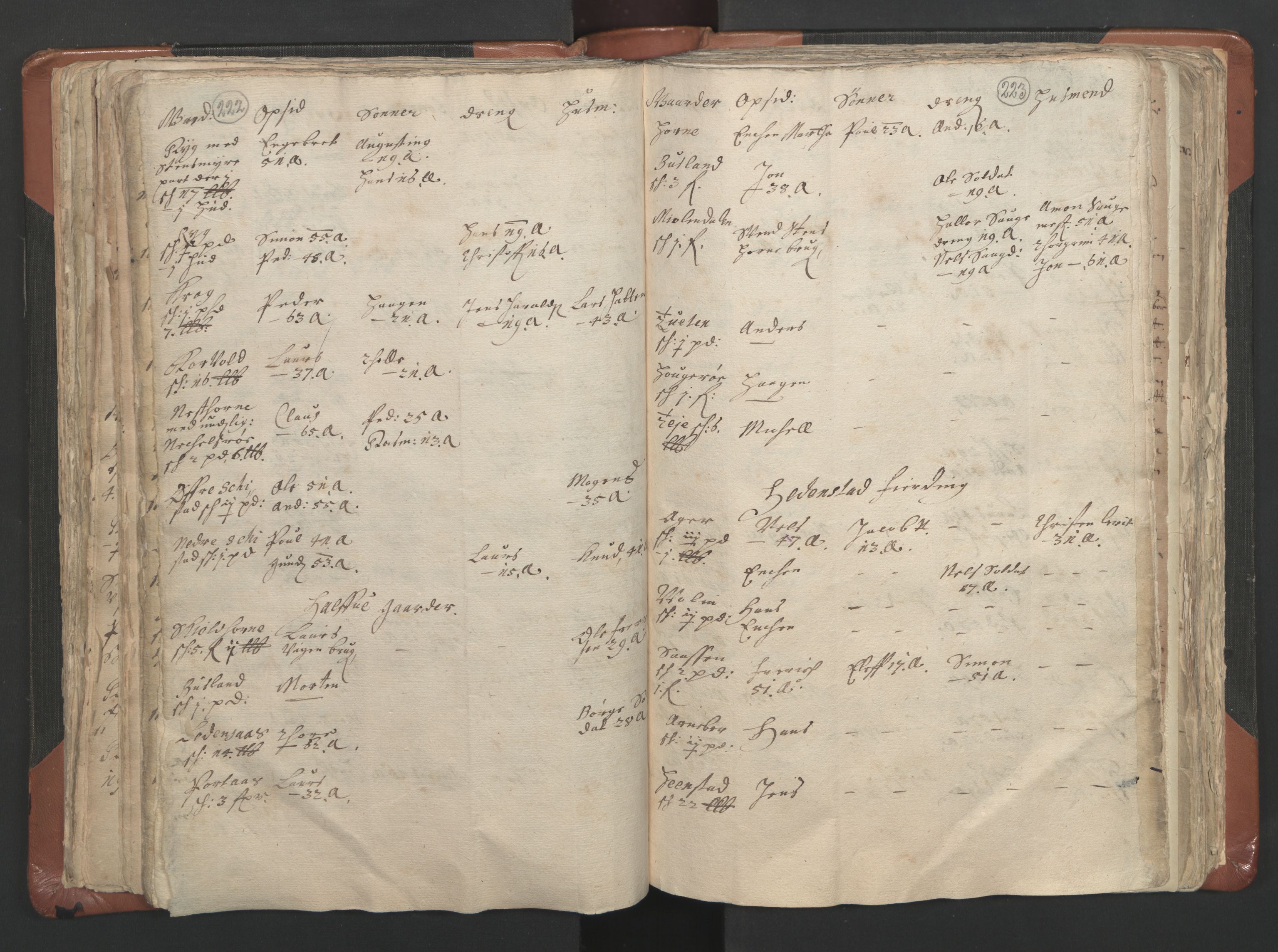 RA, Vicar's Census 1664-1666, no. 9: Bragernes deanery, 1664-1666, p. 222-223