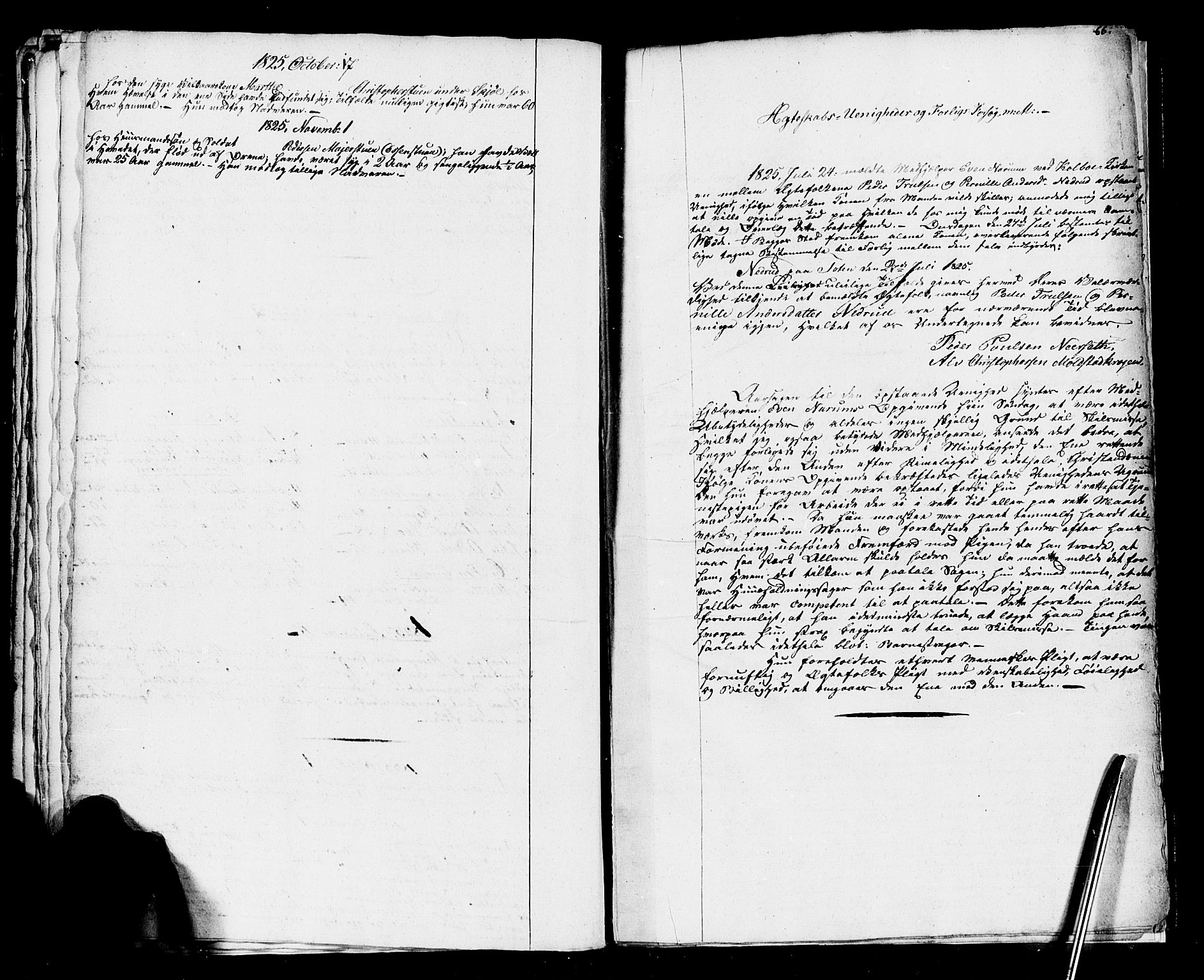 Vestre Toten prestekontor, SAH/PREST-108/H/Ha/Haa/L0001: Parish register (official) no. 1, 1825-1826, p. 66