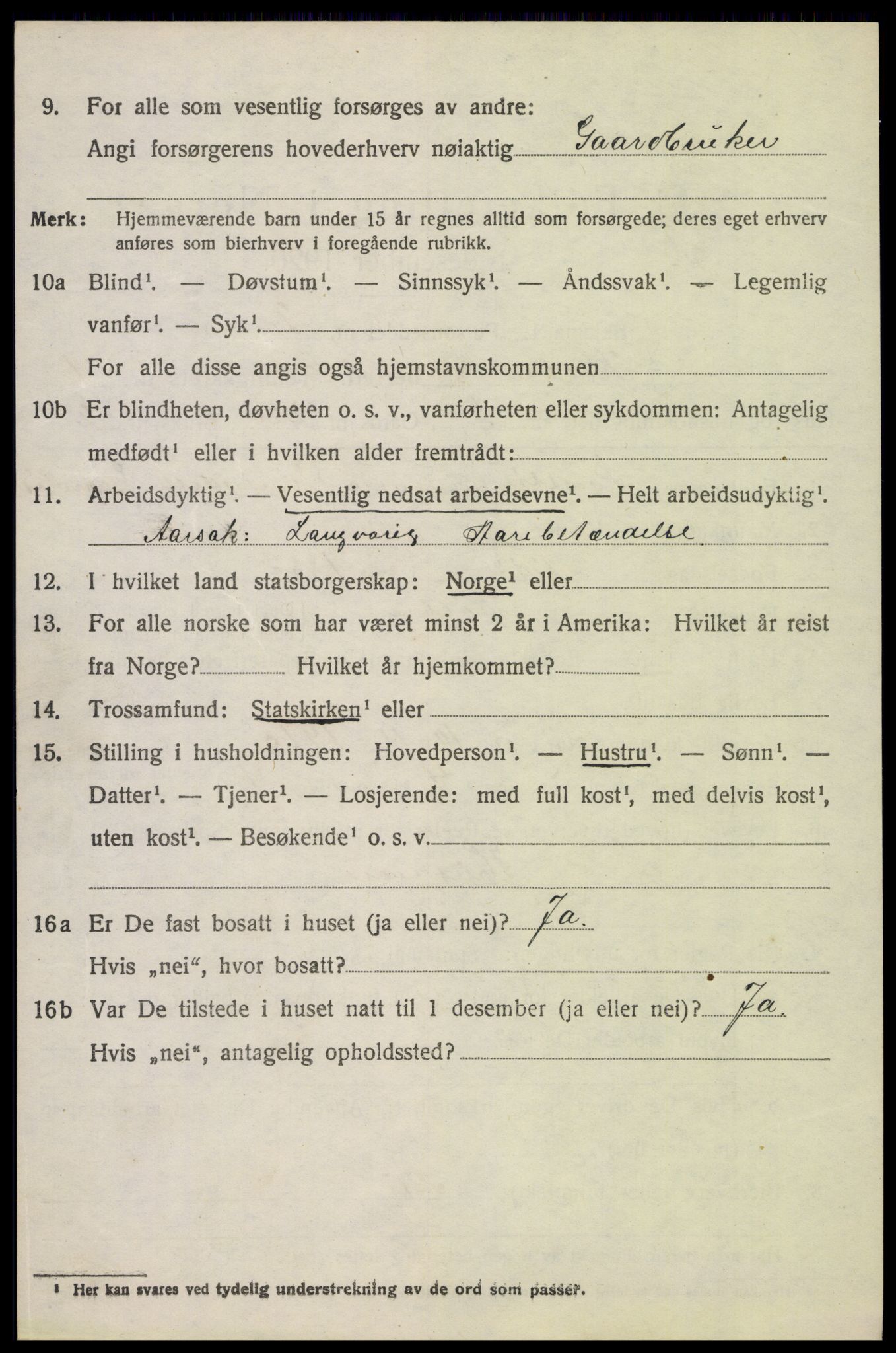 SAH, 1920 census for Kolbu, 1920, p. 3125