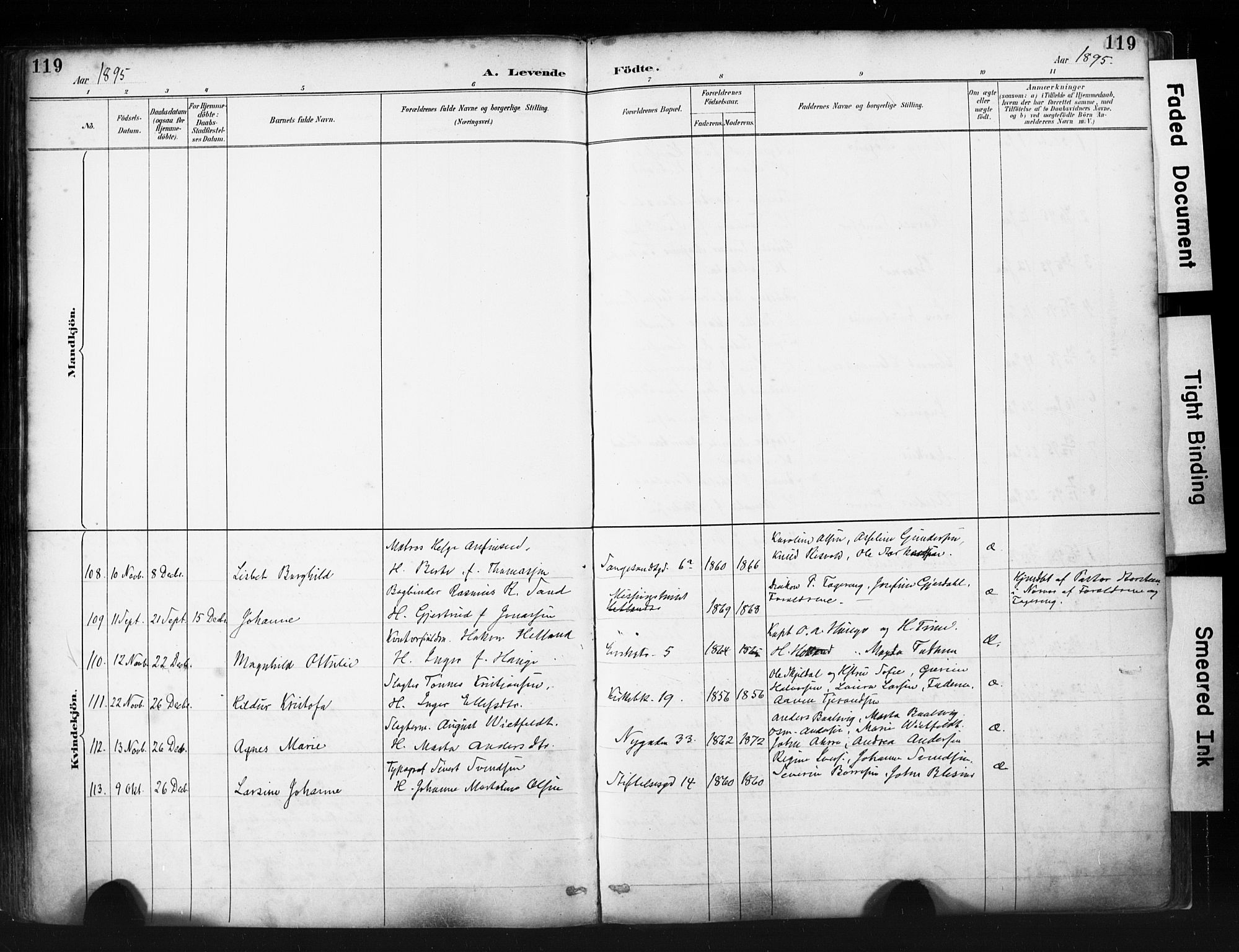 St. Petri sokneprestkontor, AV/SAST-A-101813/001/30/30BA/L0019: Parish register (official) no. A 20, 1888-1901, p. 119