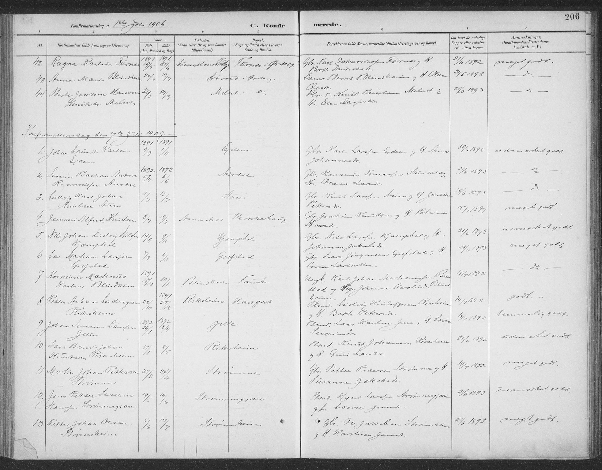 Ministerialprotokoller, klokkerbøker og fødselsregistre - Møre og Romsdal, AV/SAT-A-1454/523/L0335: Parish register (official) no. 523A02, 1891-1911, p. 206