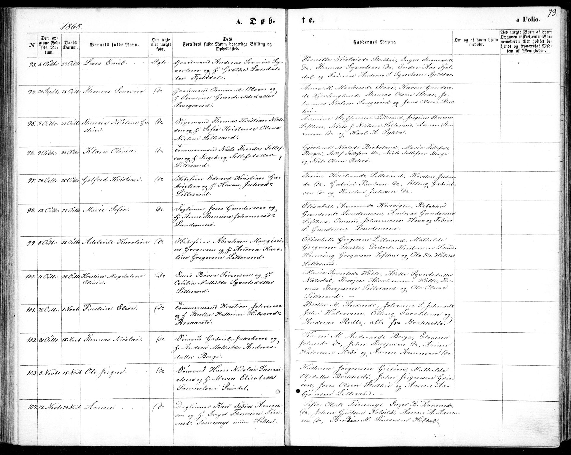 Vestre Moland sokneprestkontor, AV/SAK-1111-0046/F/Fb/Fbb/L0004: Parish register (copy) no. B 4, 1861-1872, p. 73