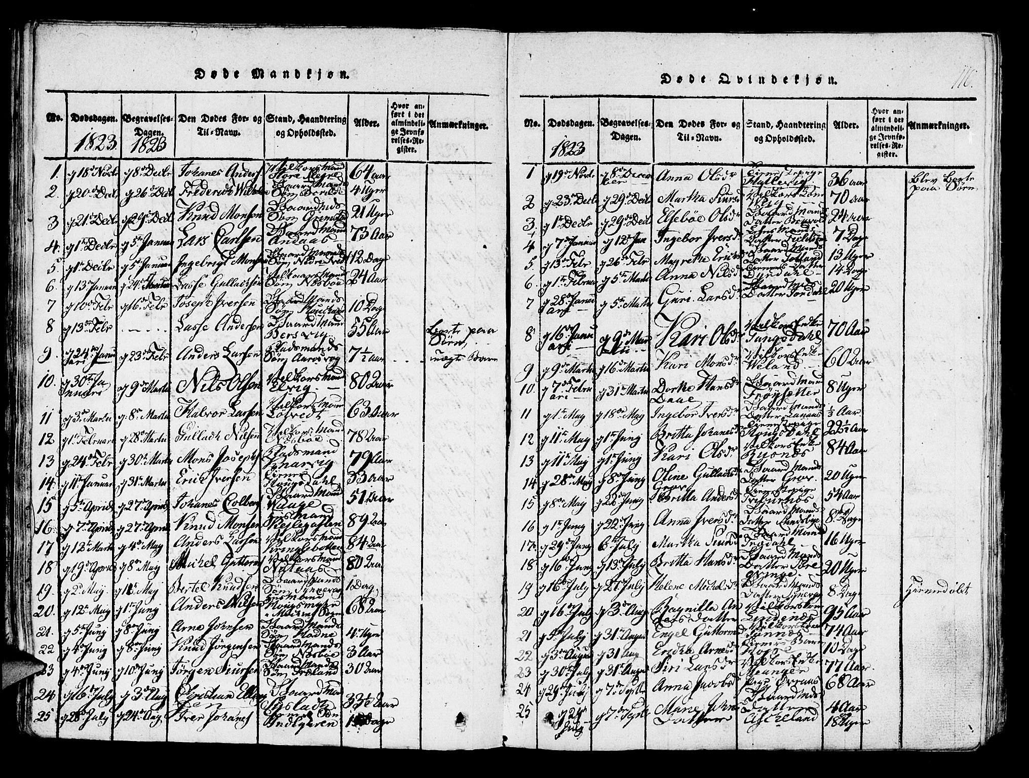 Lindås Sokneprestembete, SAB/A-76701/H/Haa: Parish register (official) no. A 7, 1816-1823, p. 110