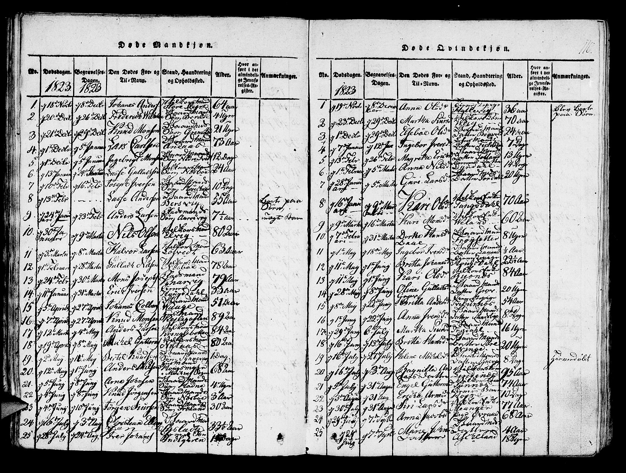 Lindås Sokneprestembete, AV/SAB-A-76701/H/Haa/Haaa/L0007: Parish register (official) no. A 7, 1816-1823, p. 110